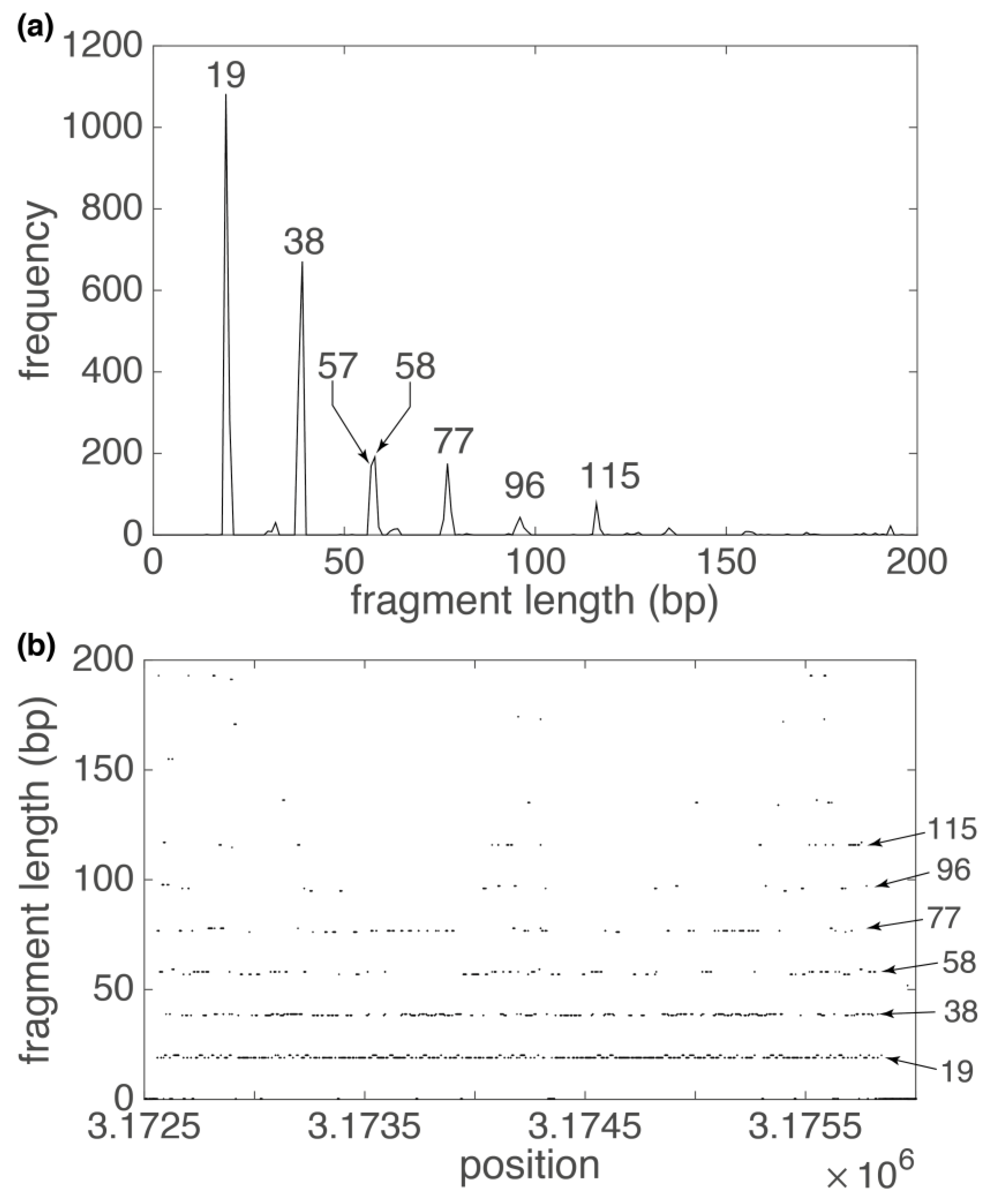 Algorithms 15 00458 g003