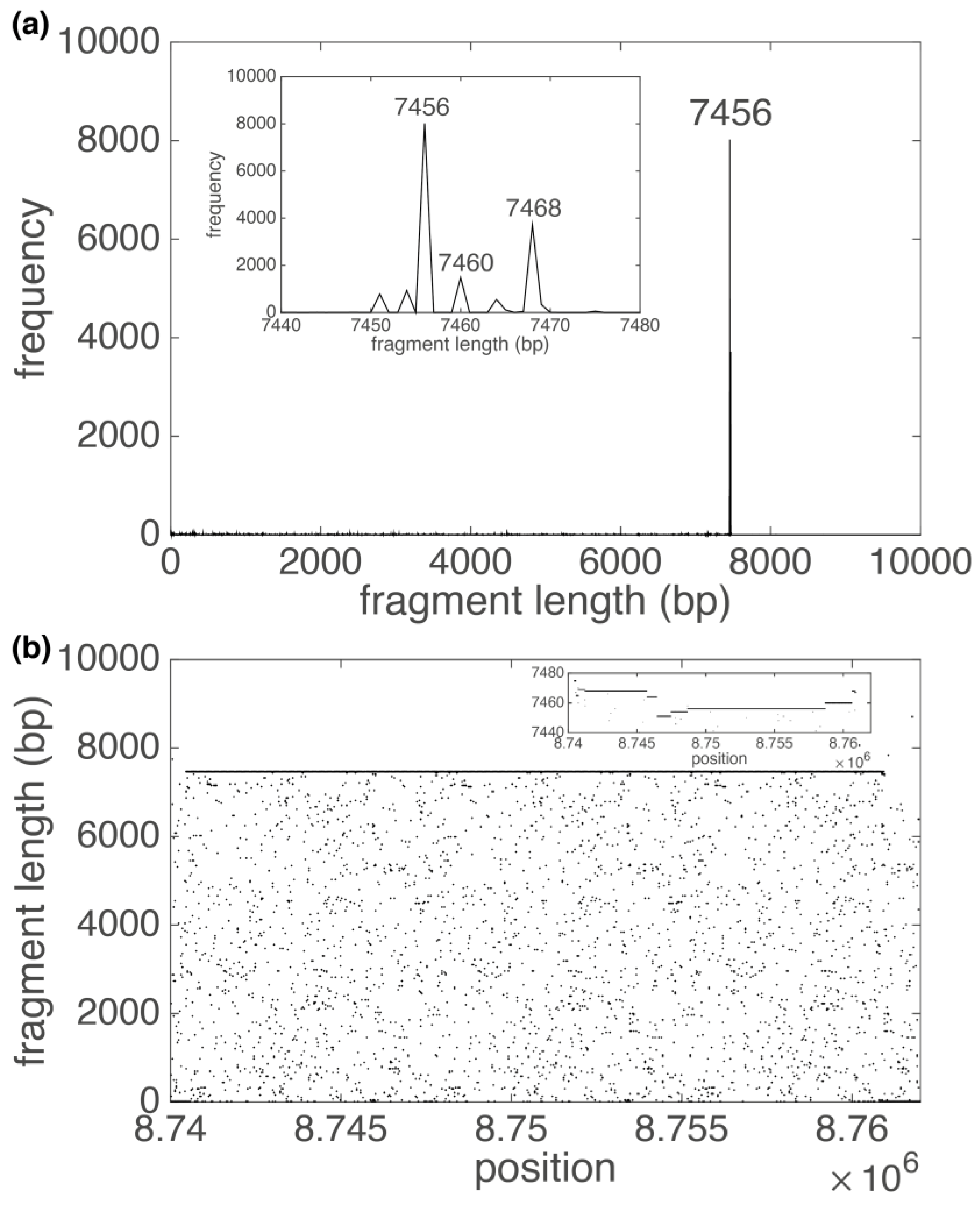 Algorithms 15 00458 g004