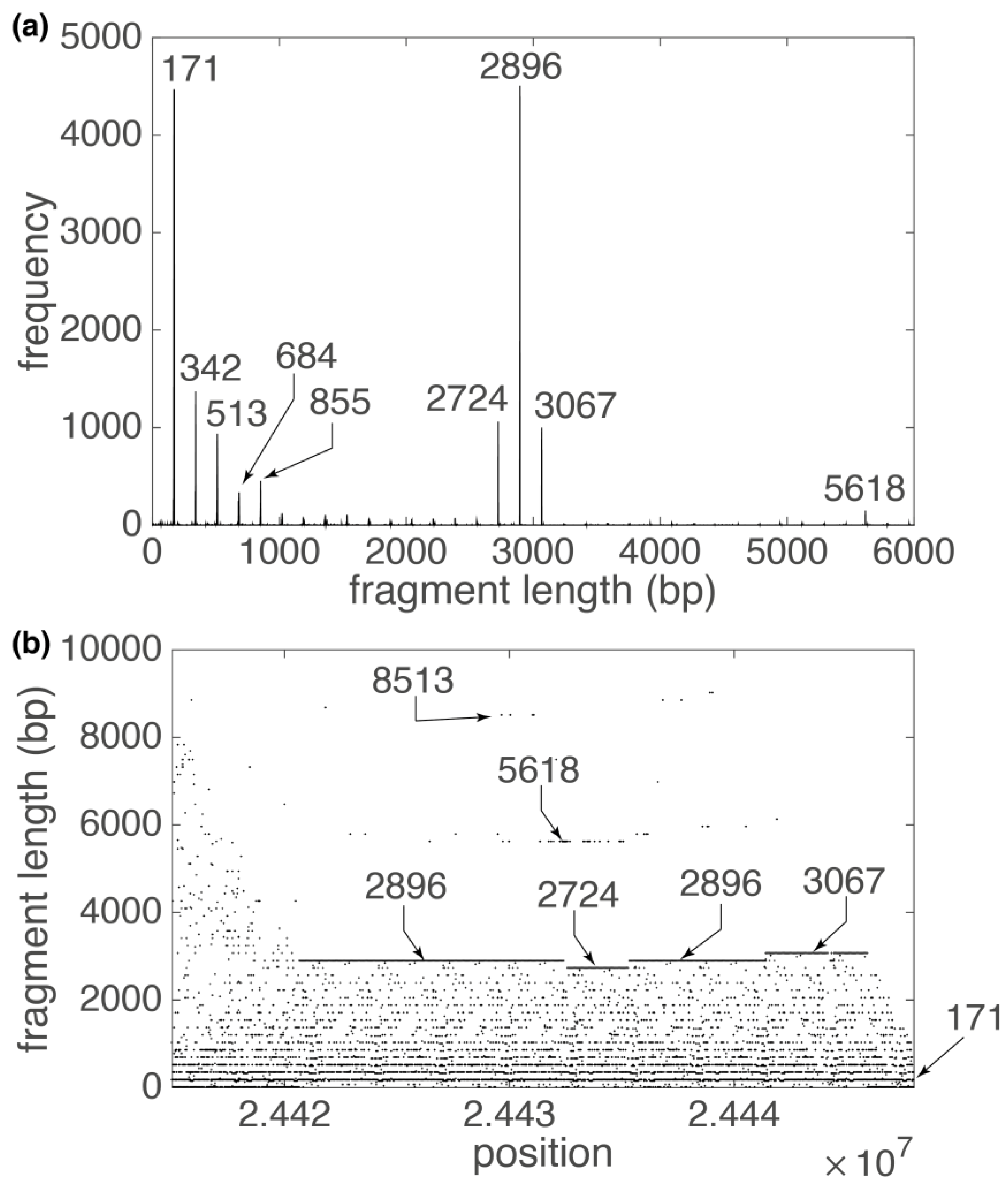Algorithms 15 00458 g005