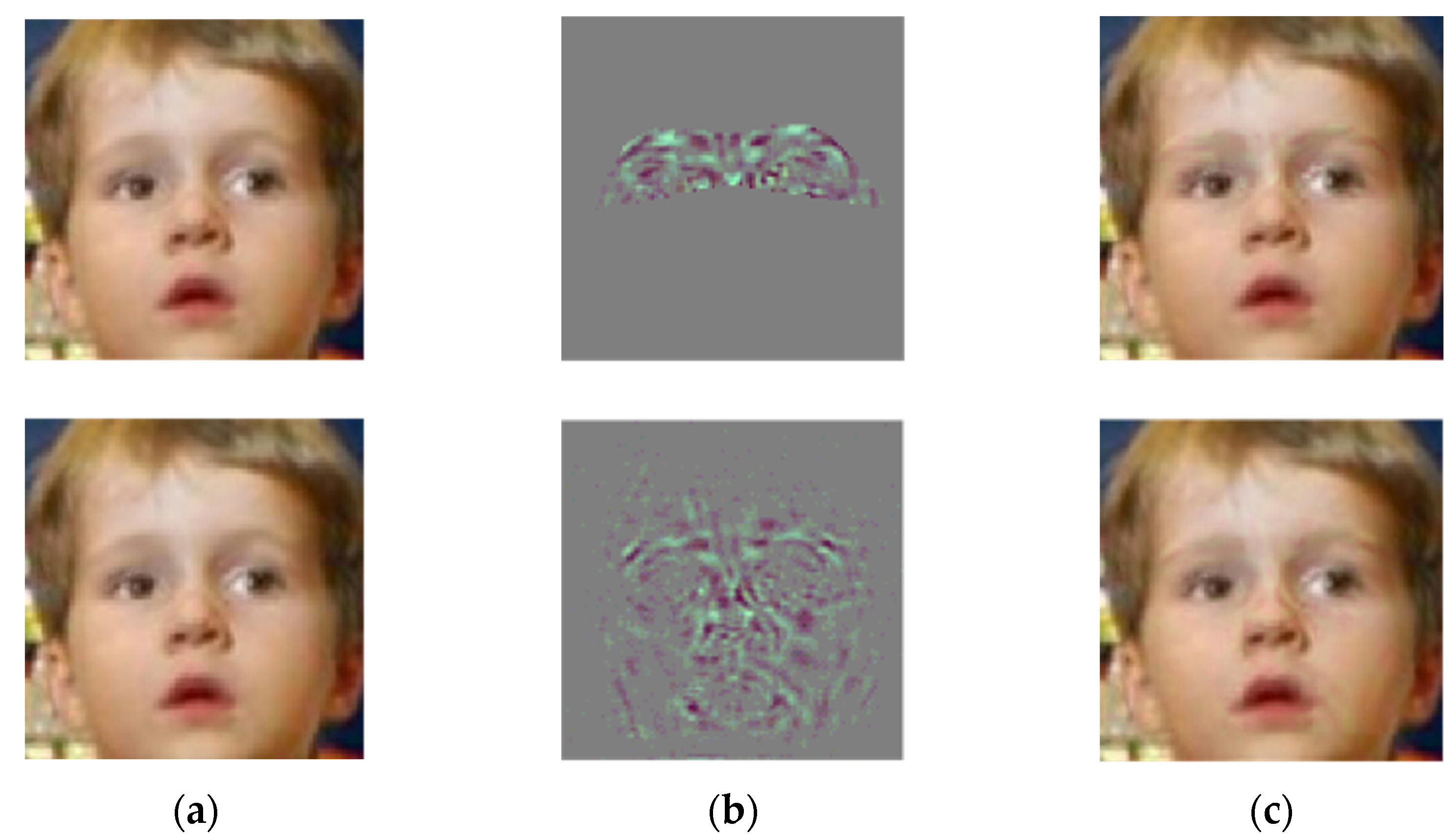 Algorithms | Free Full-Text | A Momentum-Based Local Face Adversarial ...