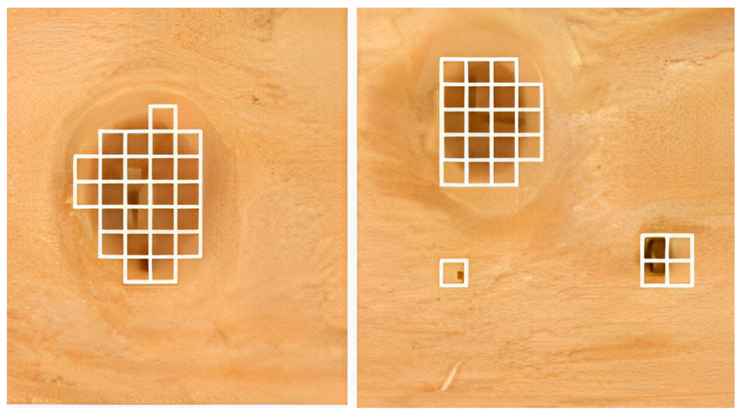 Algorithms 16 00095 g002 Algorithms 16 00095 g002