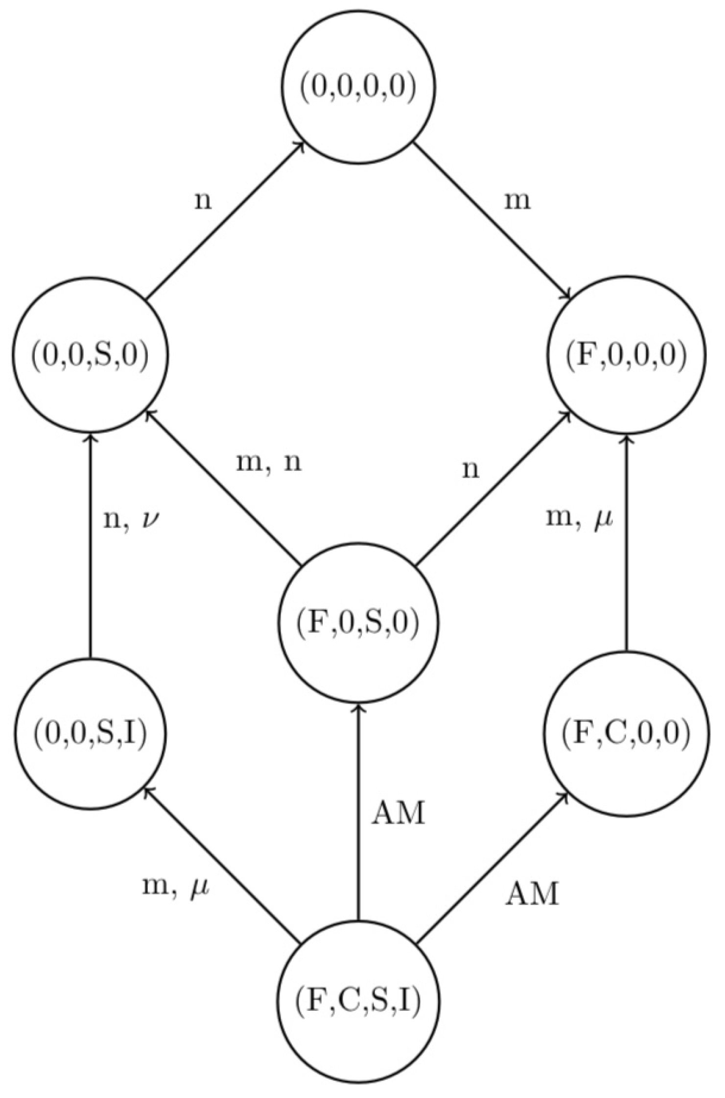 Algorithms 16 00139 g001