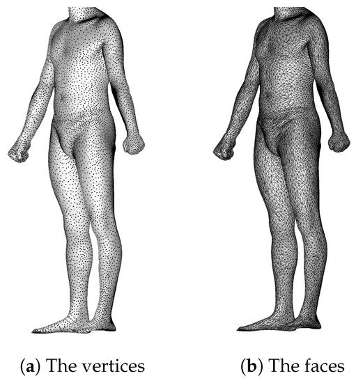 Human Body Shapes Anomaly Detection and Classification Using Persistent Homology