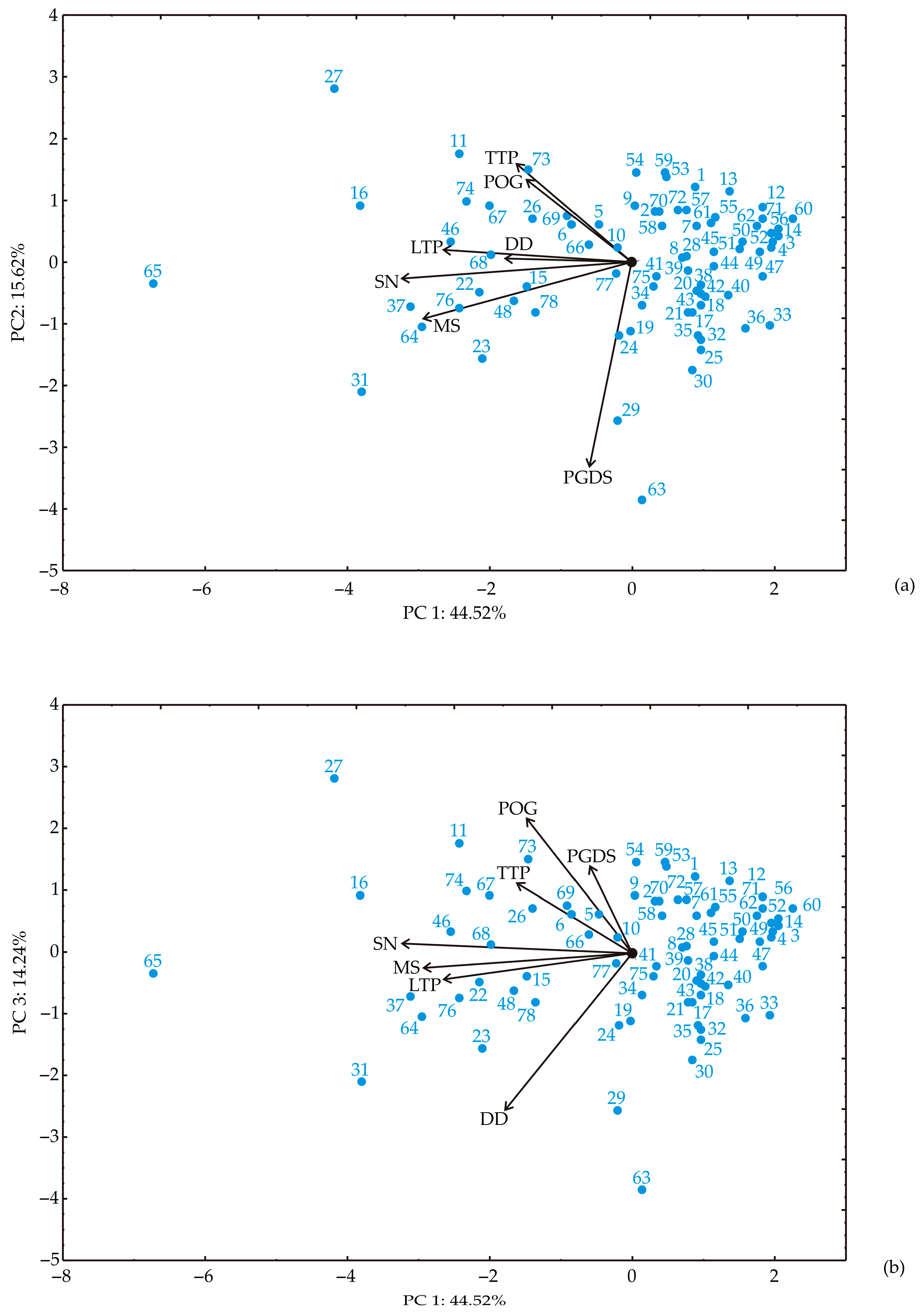 Algorithms 16 00257 g007