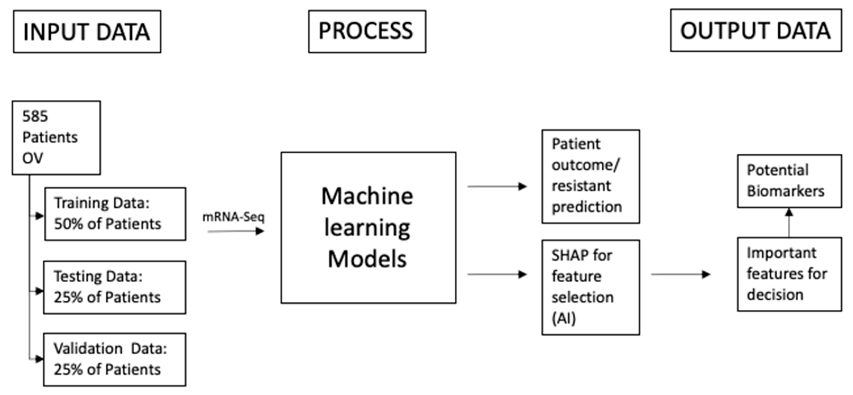 Algorithms 16 00330 g001
