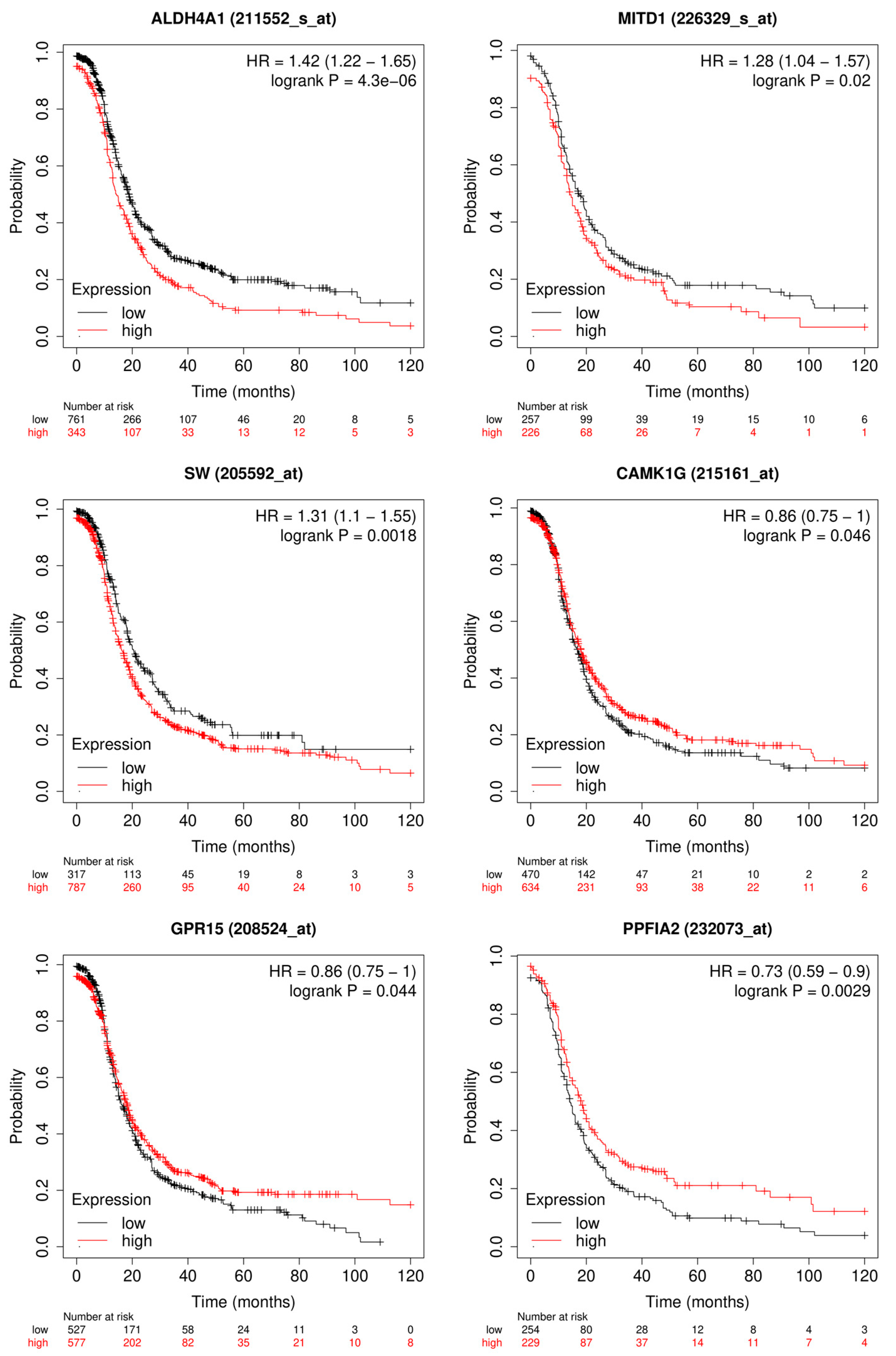 Algorithms 16 00330 g013