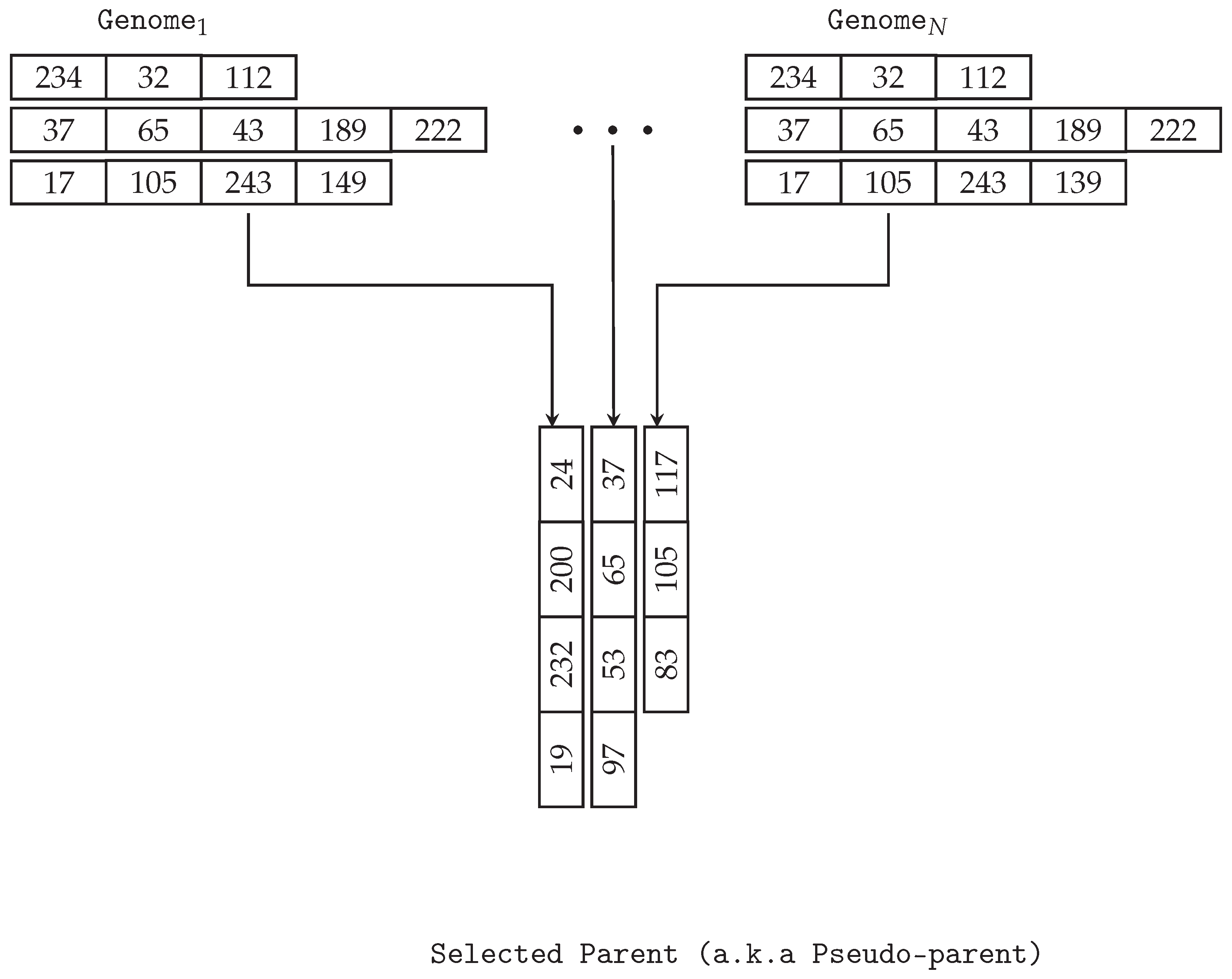 Algorithms 16 00365 g004