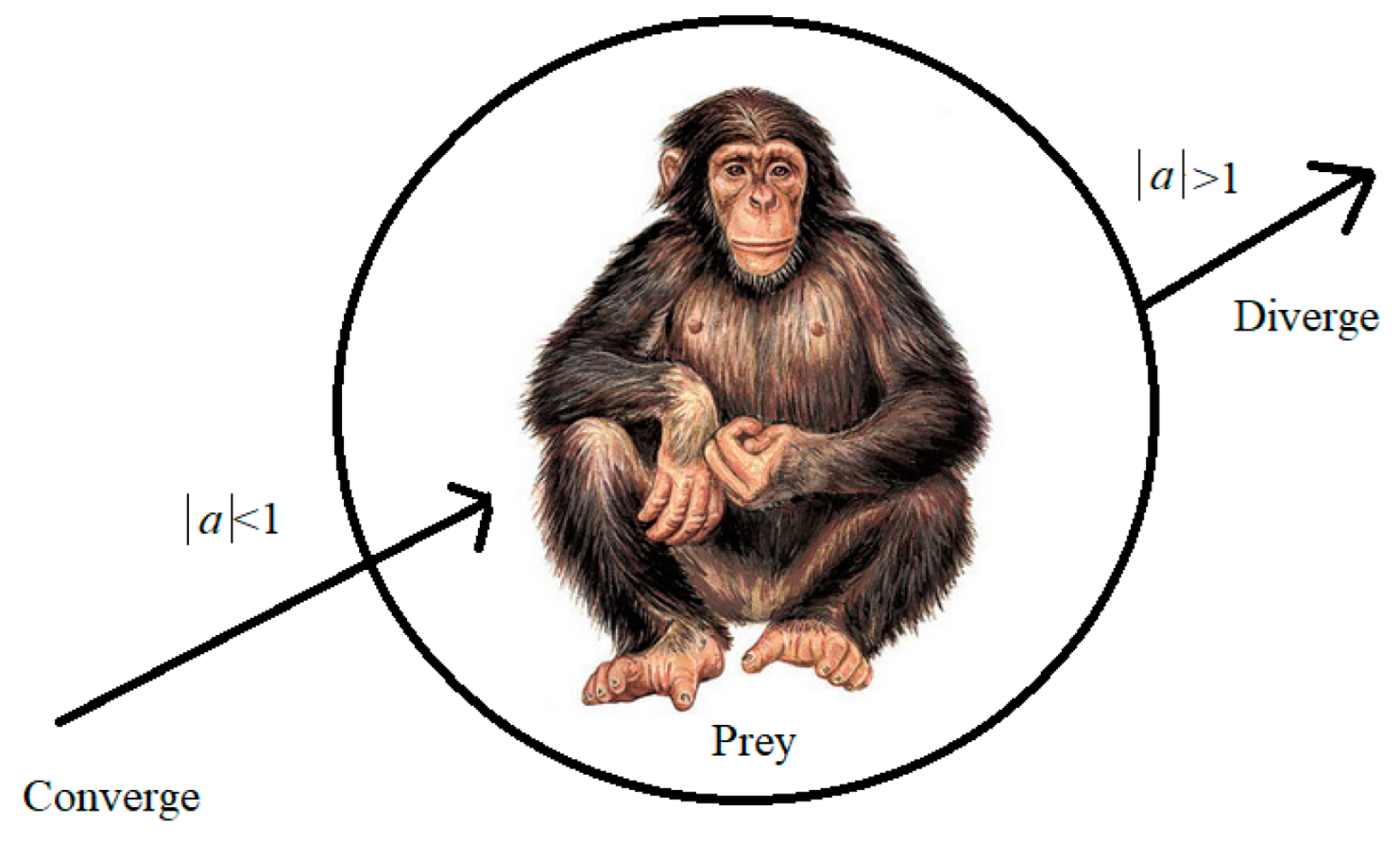 Algorithms 16 00376 g005