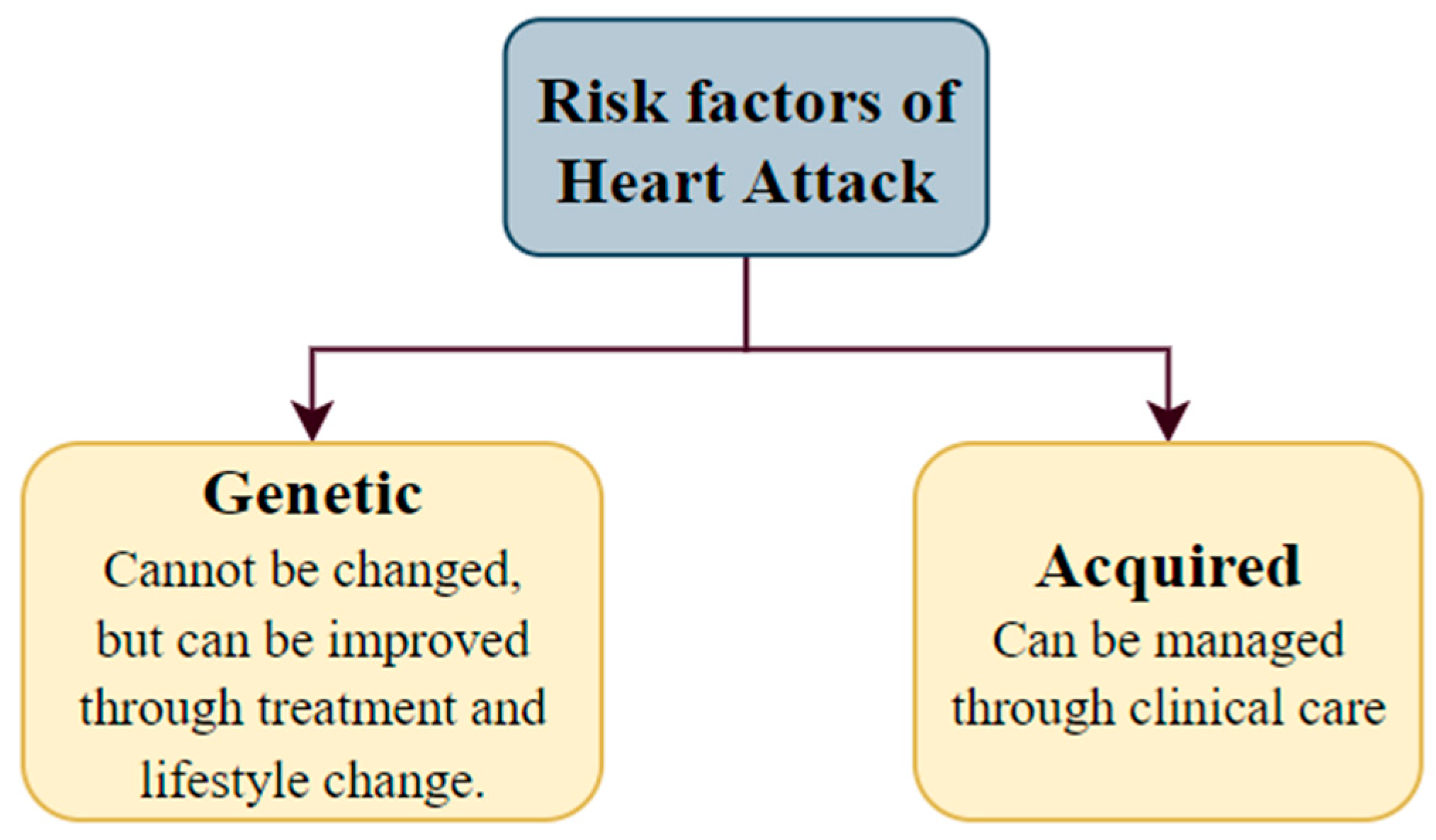 Algorithms 16 00433 g015