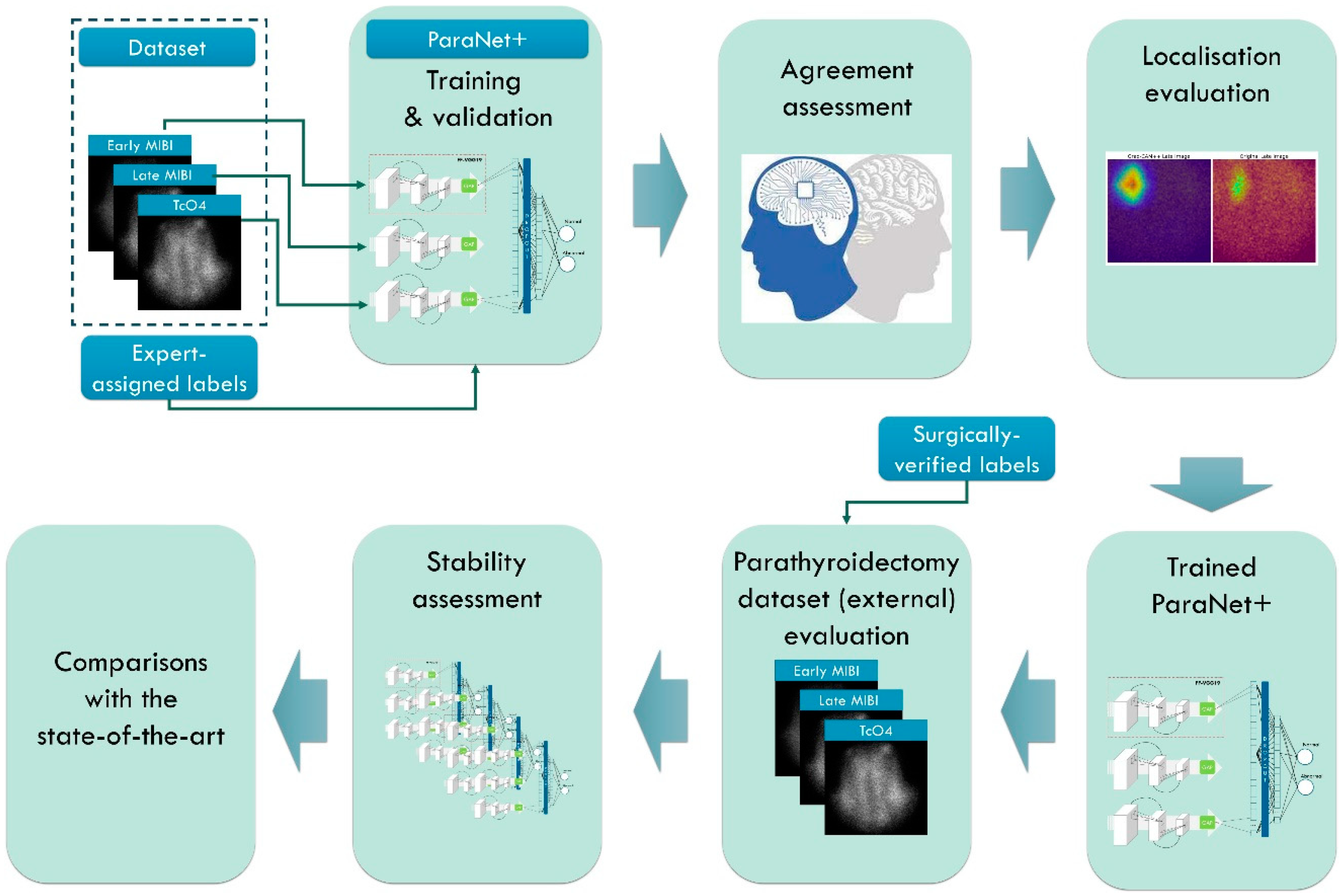 Algorithms 16 00435 g001