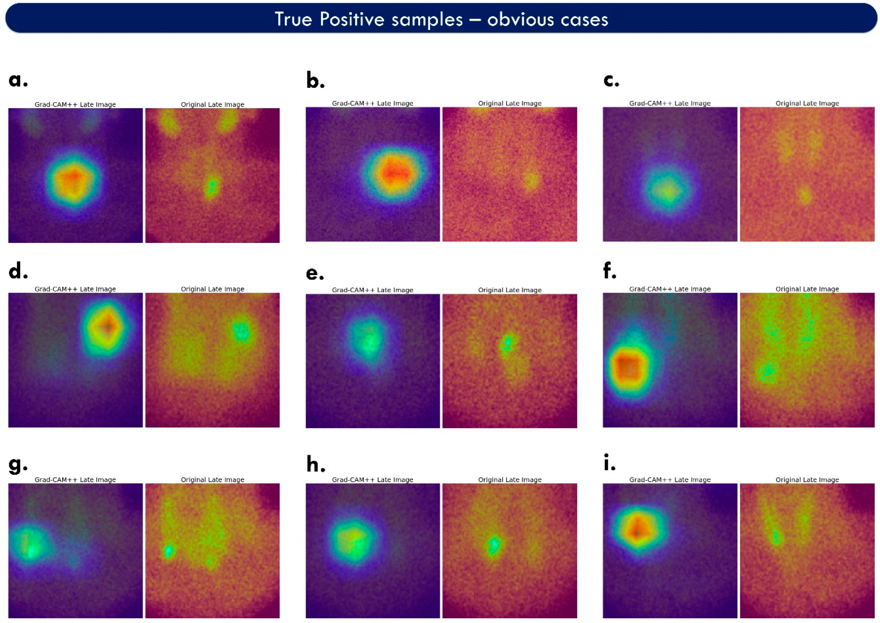 Algorithms 16 00435 g005