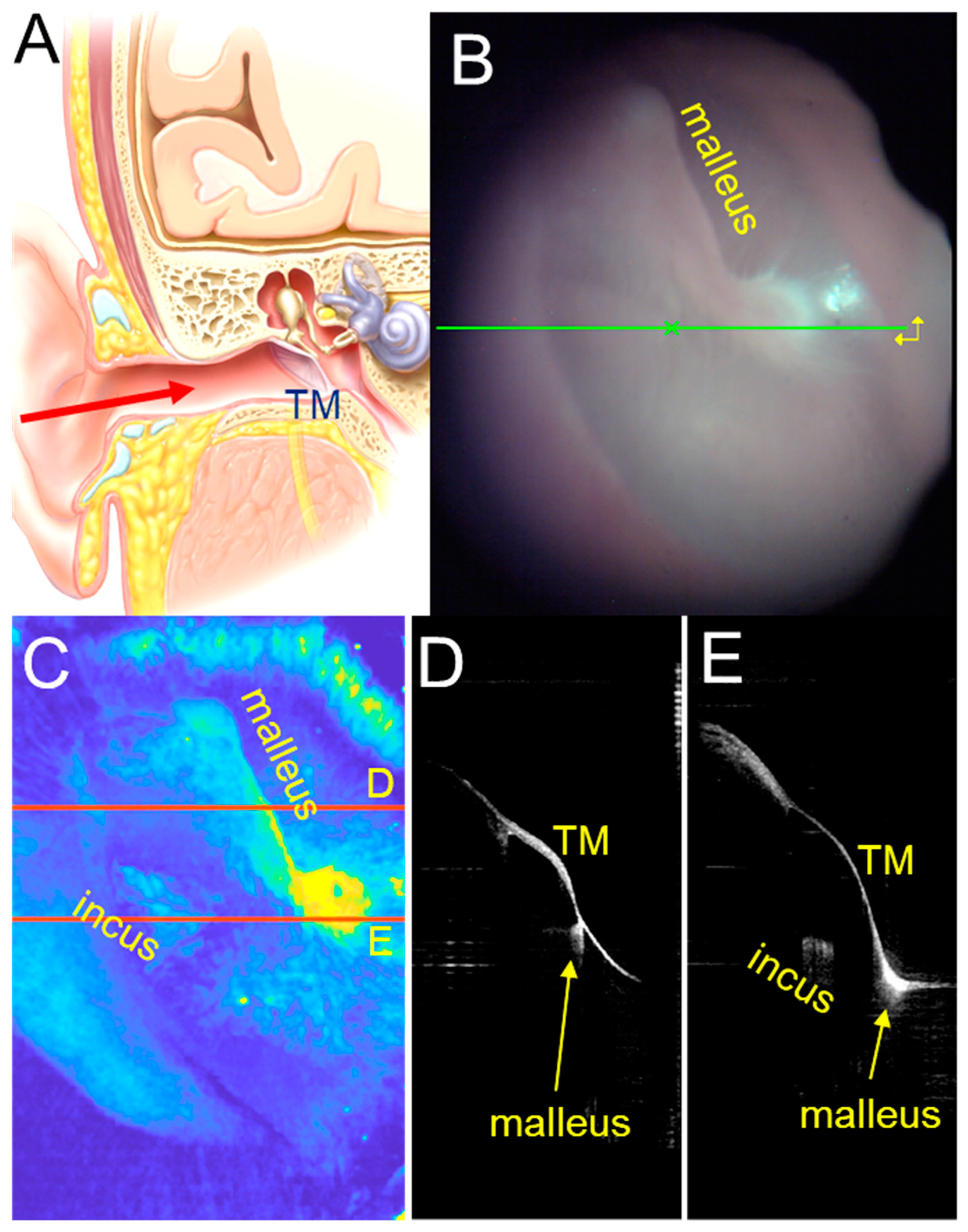 Algorithms 16 00445 g001