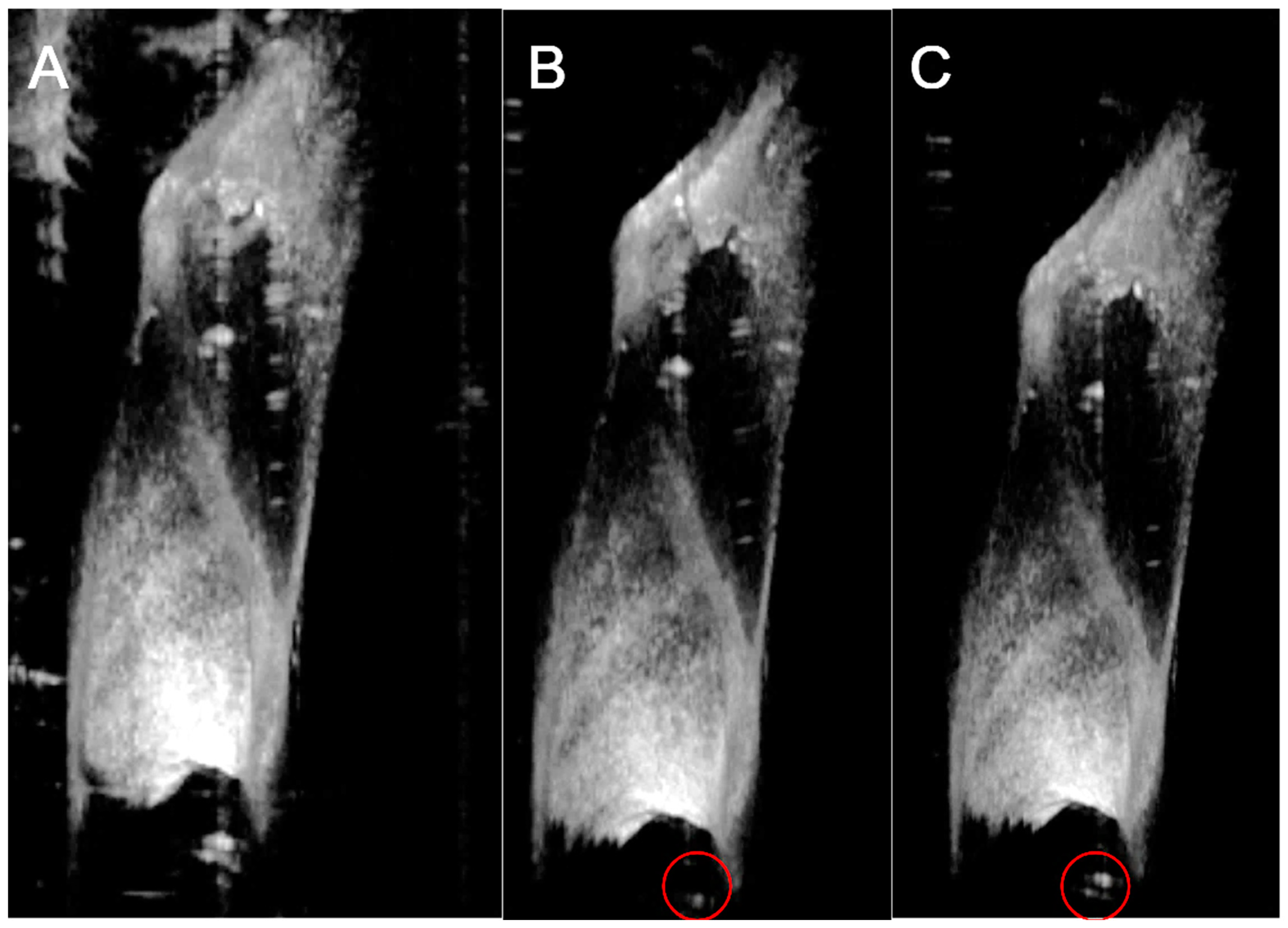 Algorithms 16 00445 g008