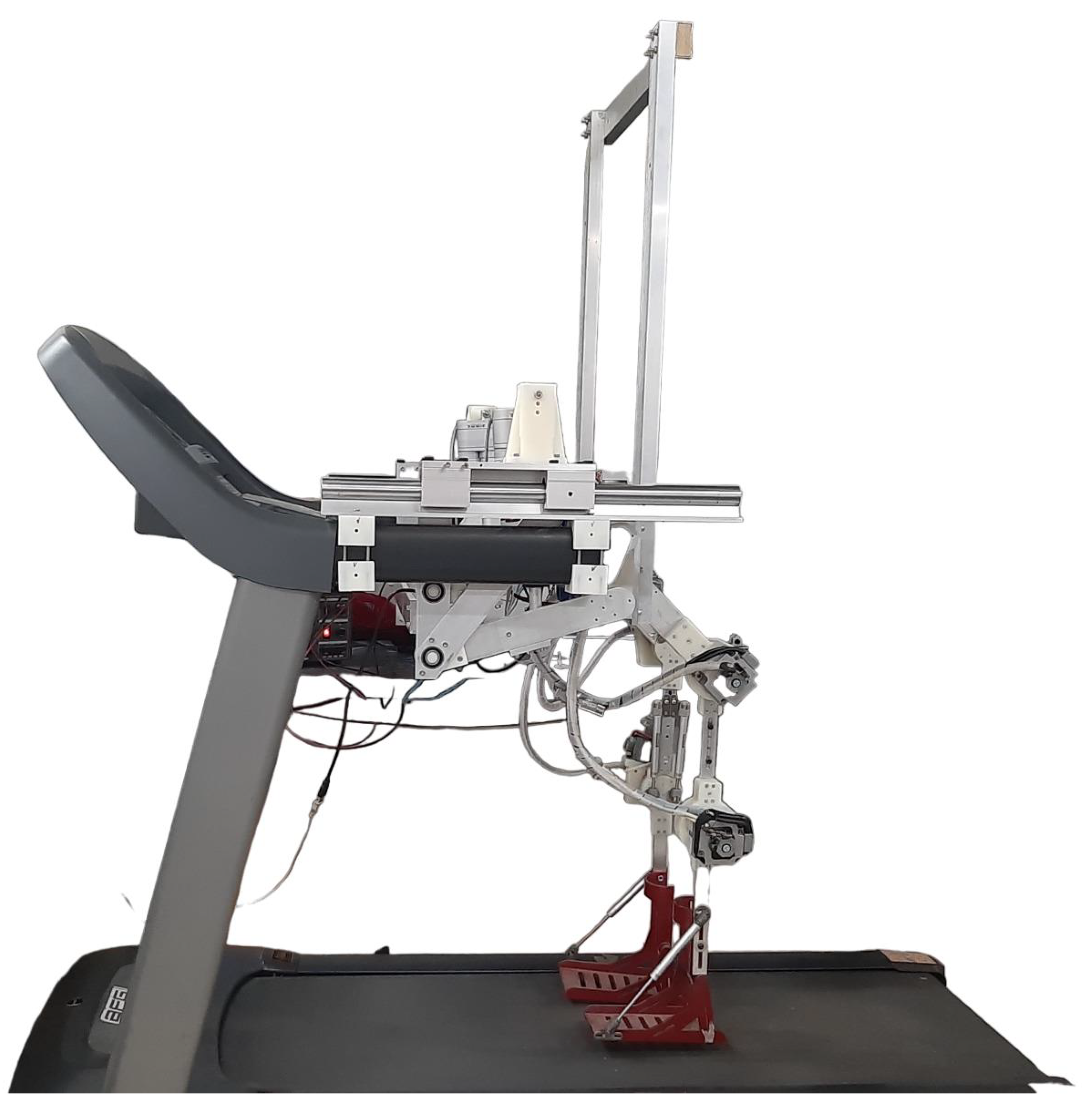 Algorithms 16 00449 g001