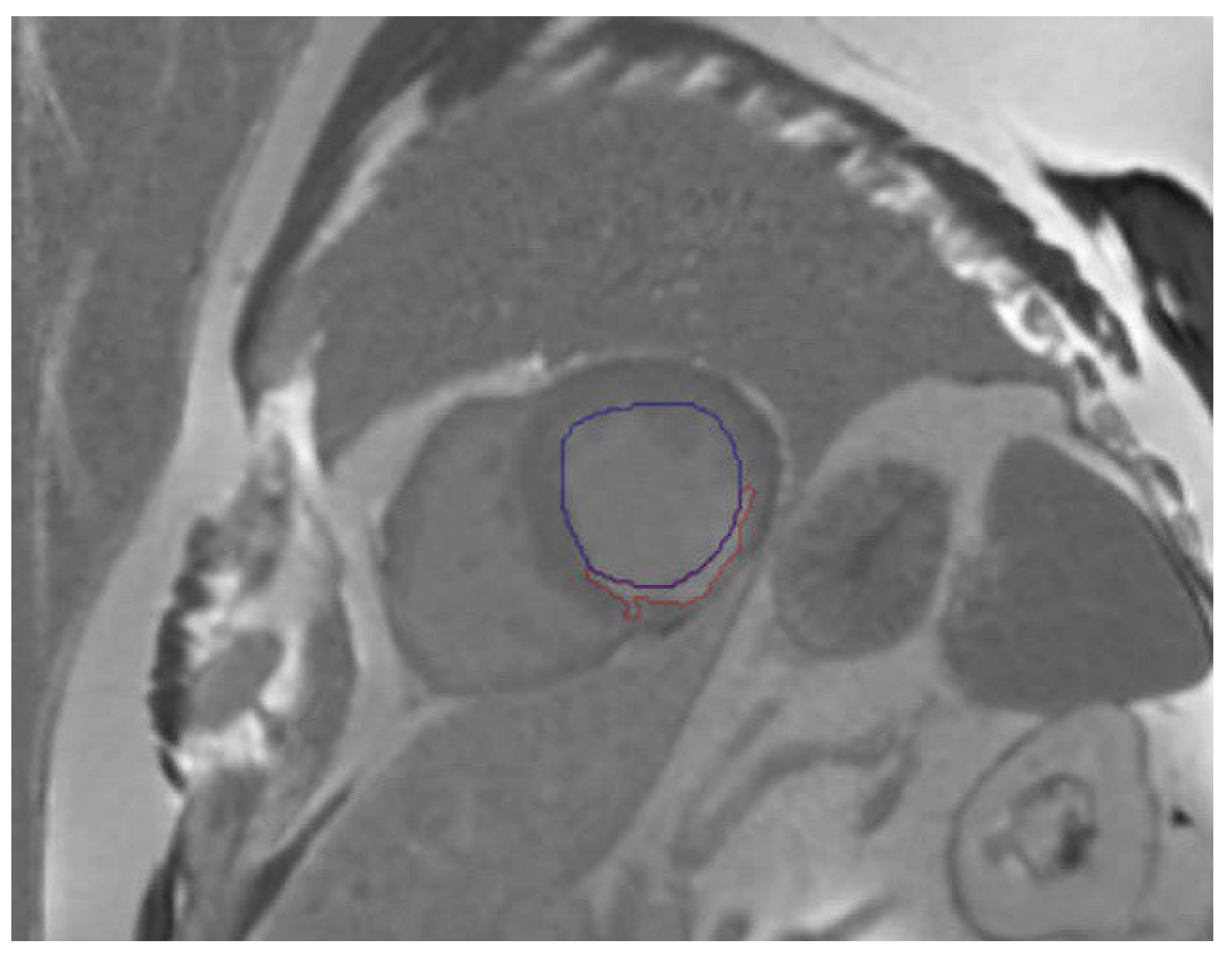Algorithms 16 00488 g004