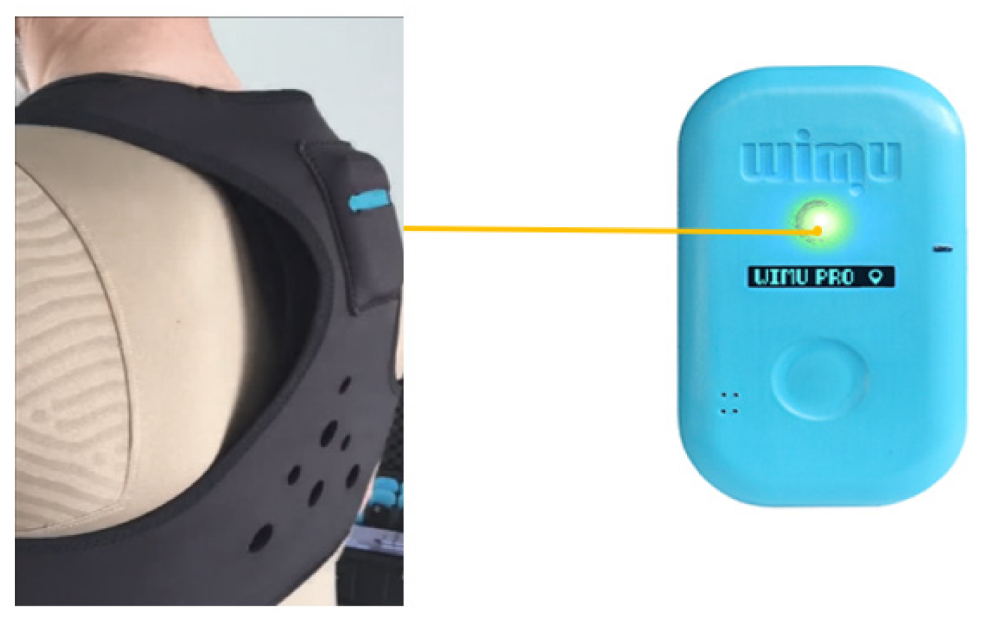 Algorithms 16 00496 g001