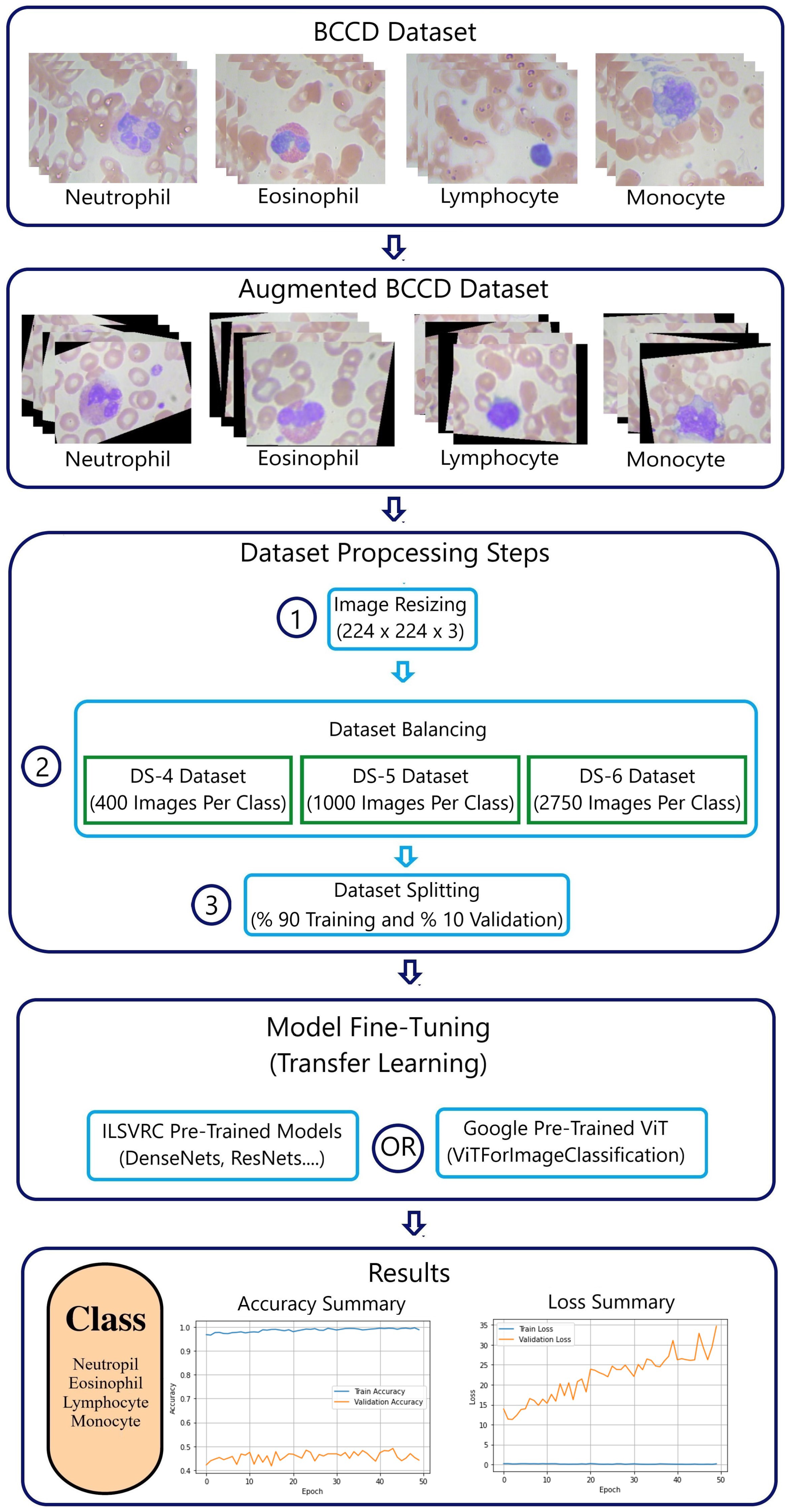 Algorithms 16 00525 g002