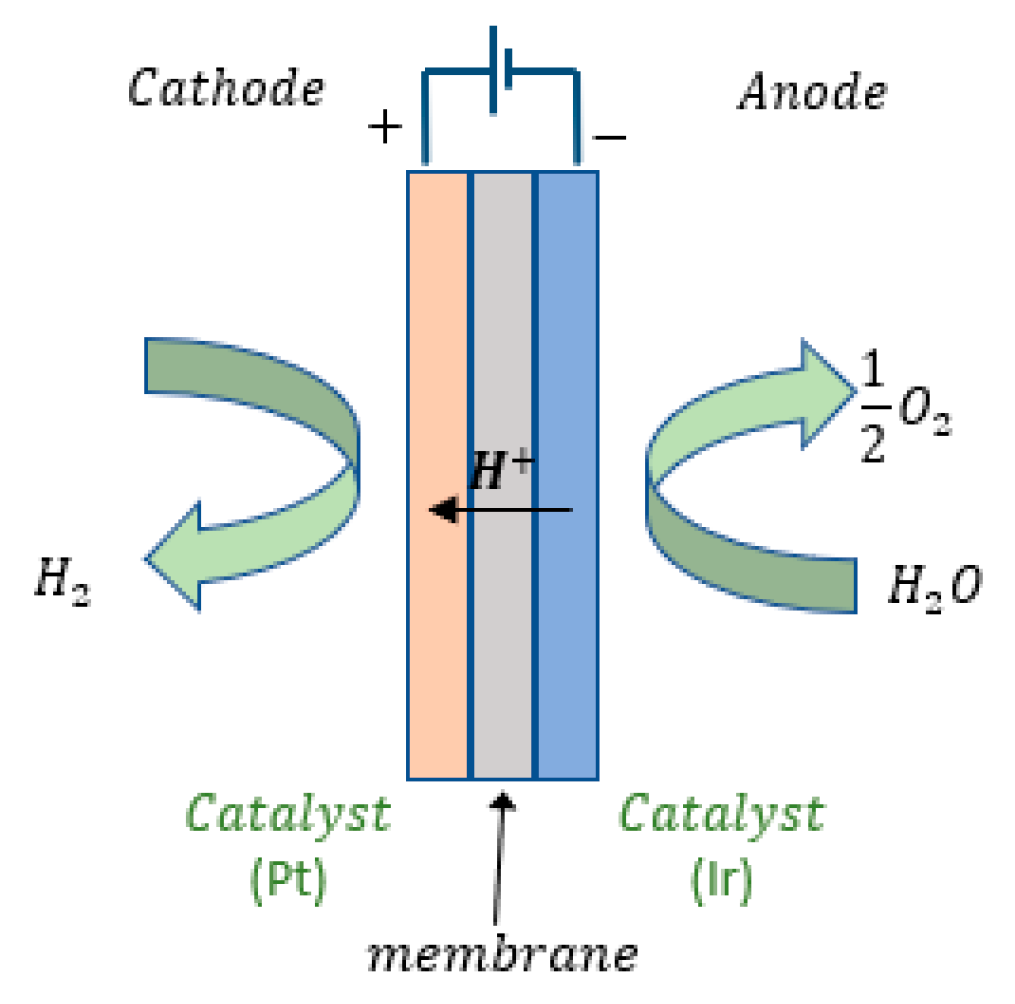 Algorithms 16 00541 g002
