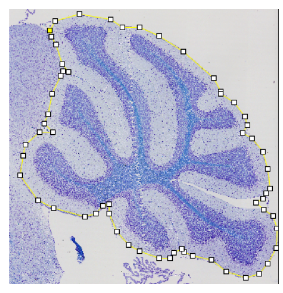 Algorithms 16 00553 g001
