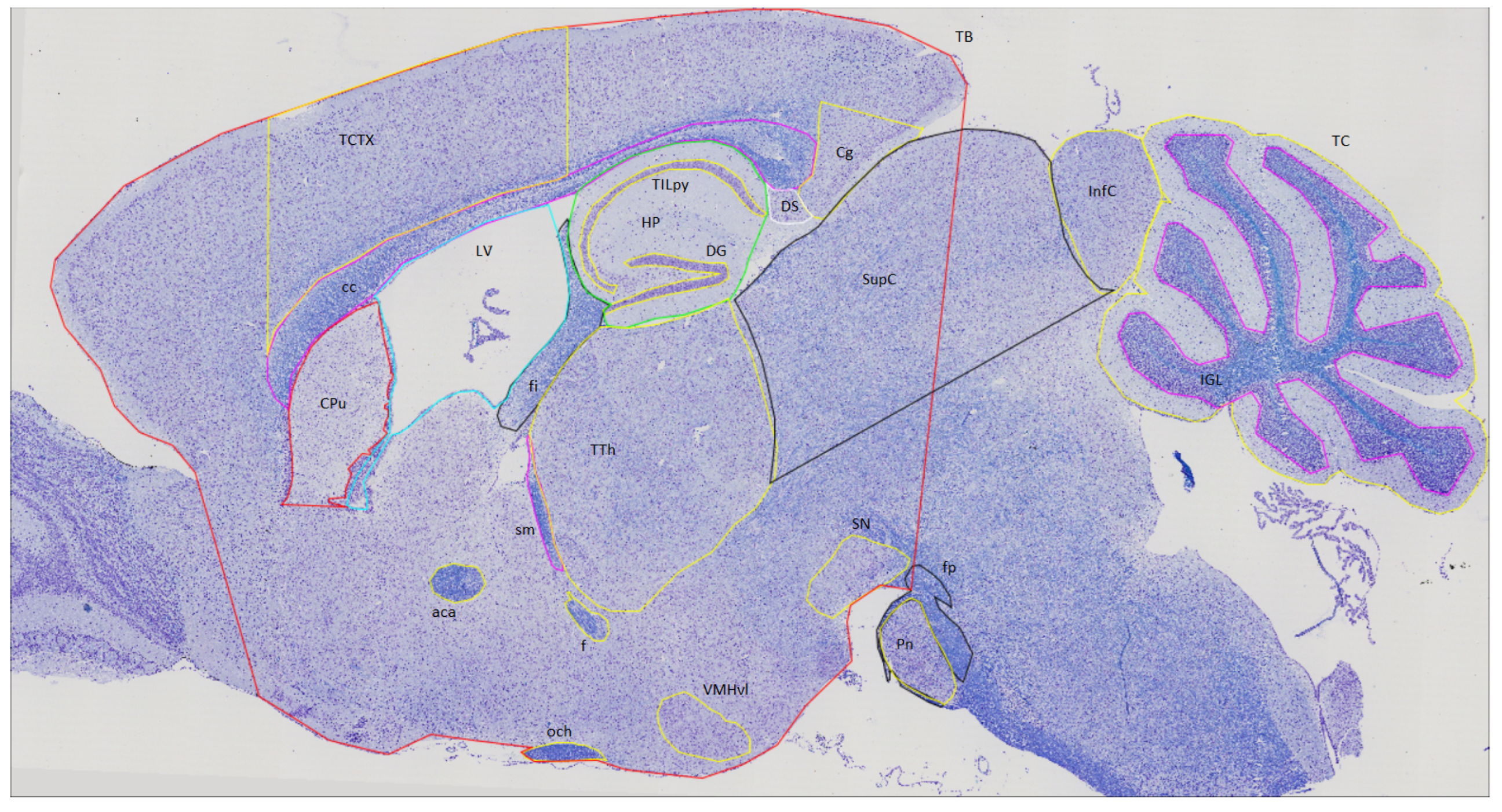 Algorithms 16 00553 g002
