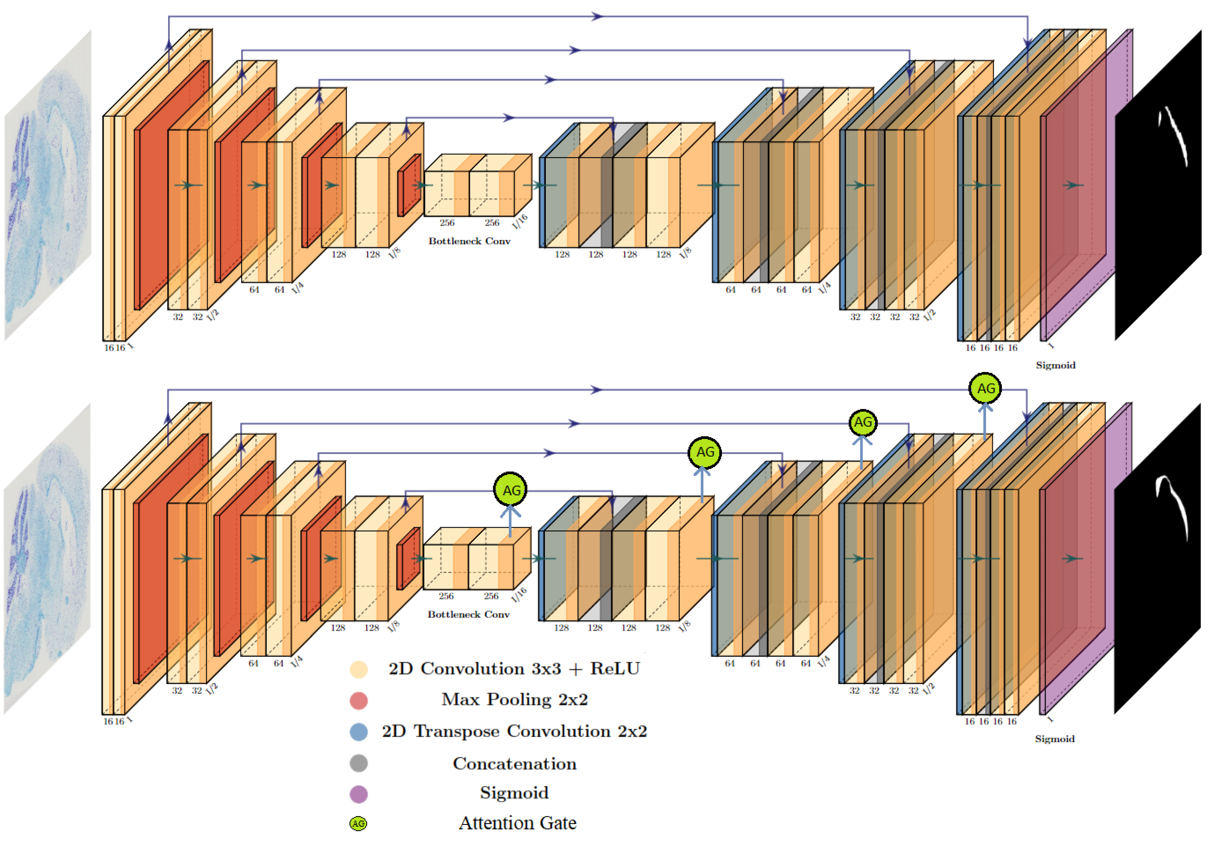 Algorithms 16 00553 g003