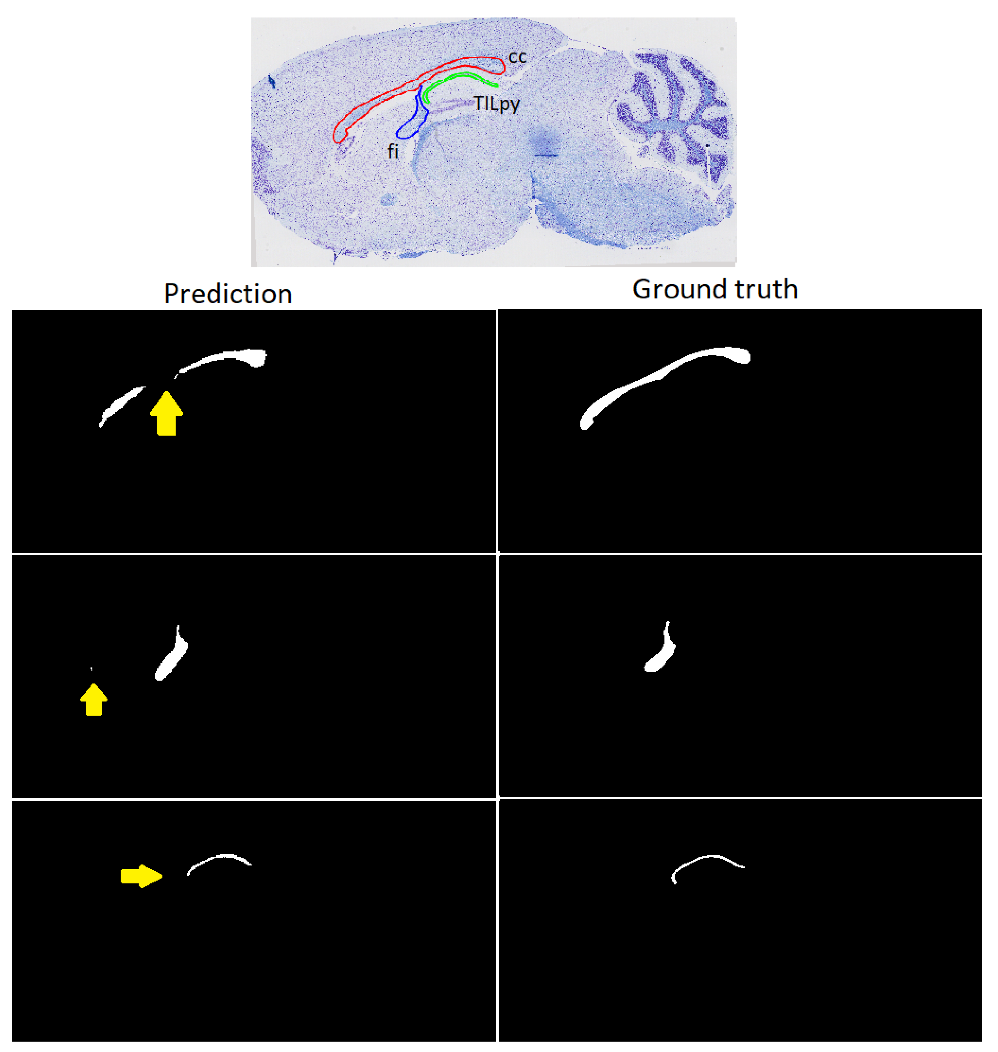 Algorithms 16 00553 g007
