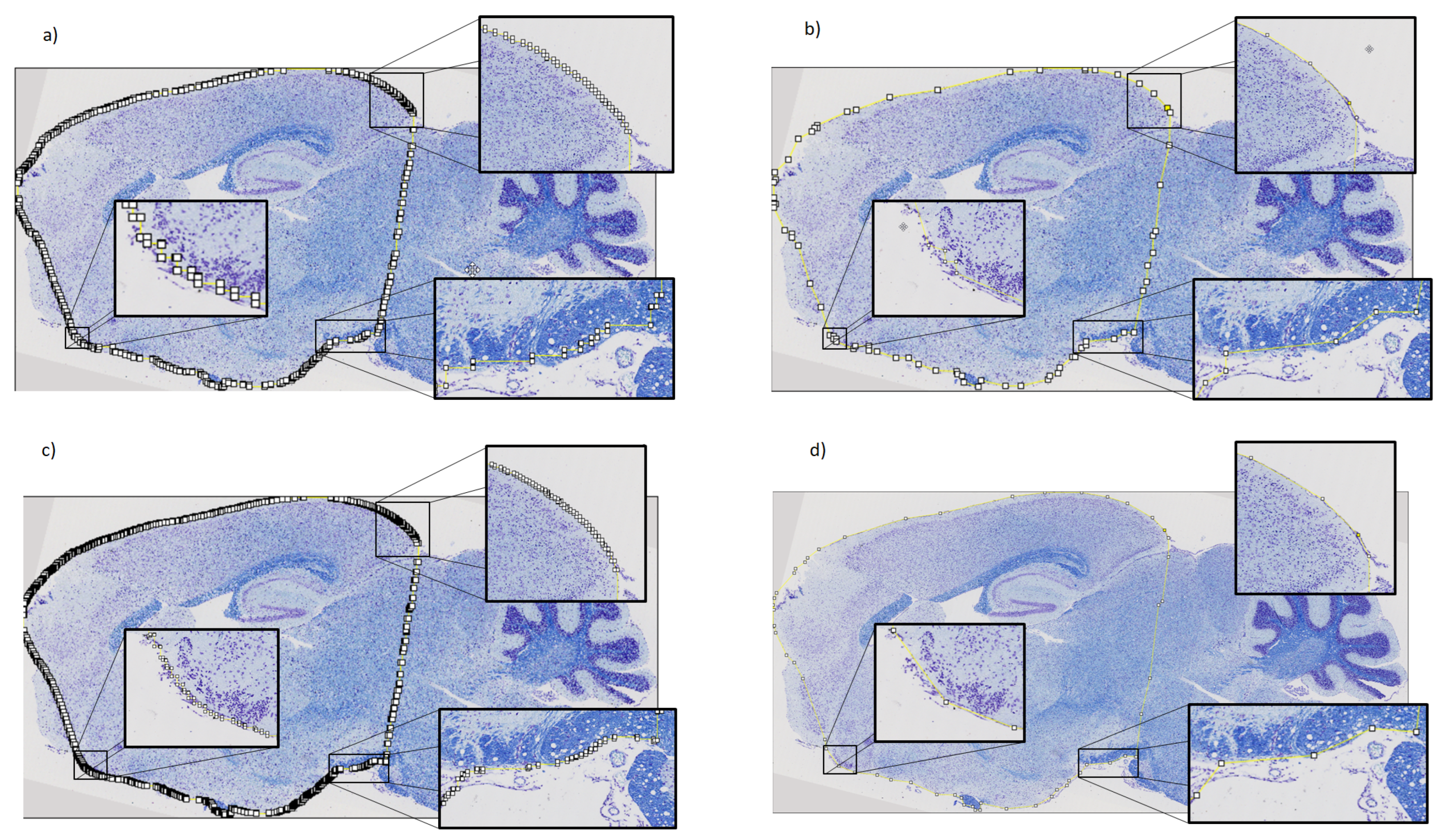 Algorithms 16 00553 g011