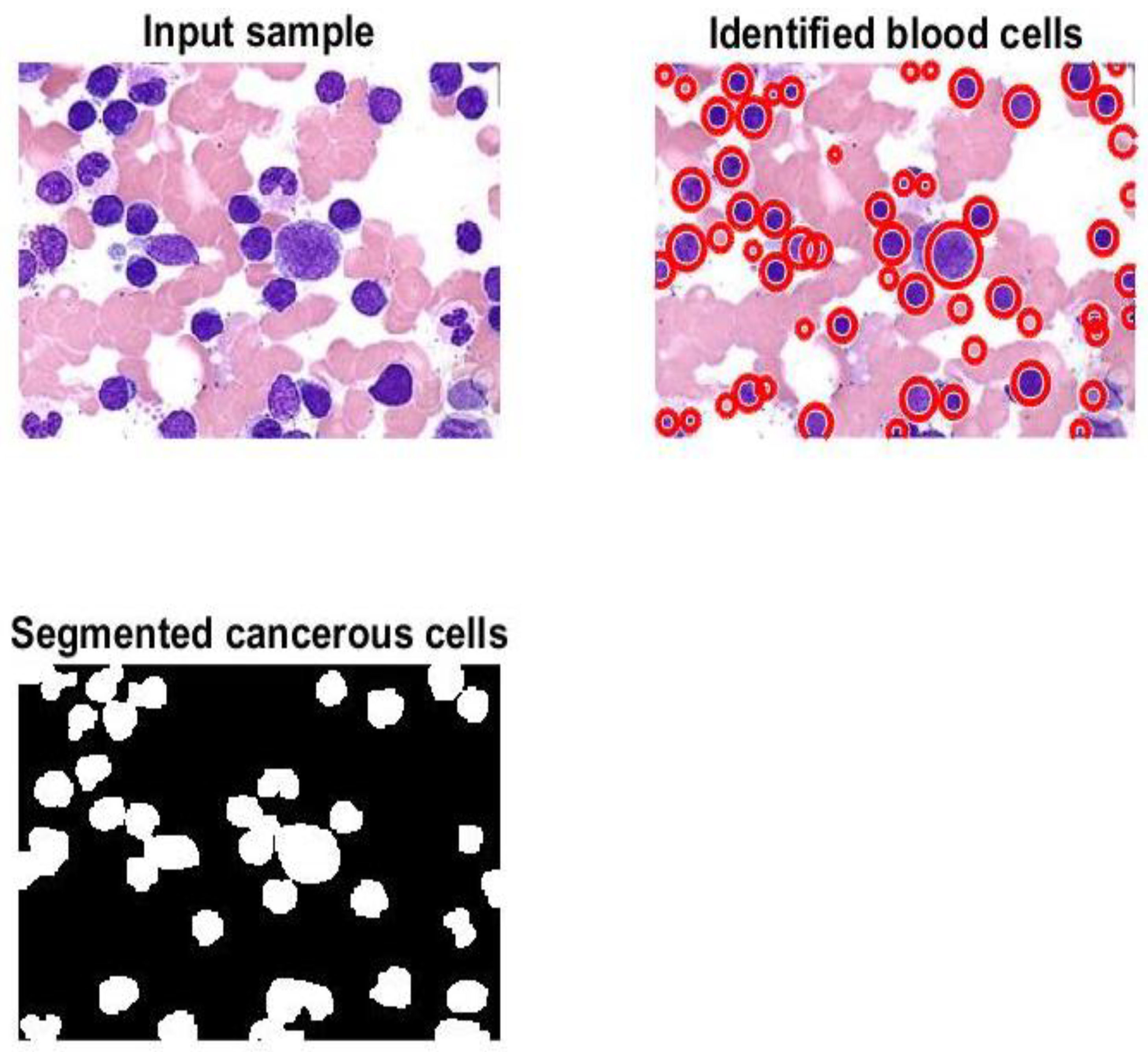 Algorithms 16 00556 g008