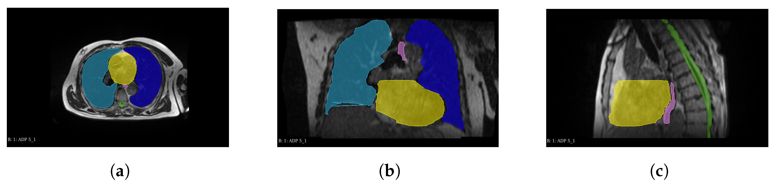 Algorithms 16 00564 g001