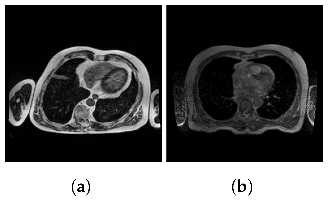 Algorithms 16 00564 g002