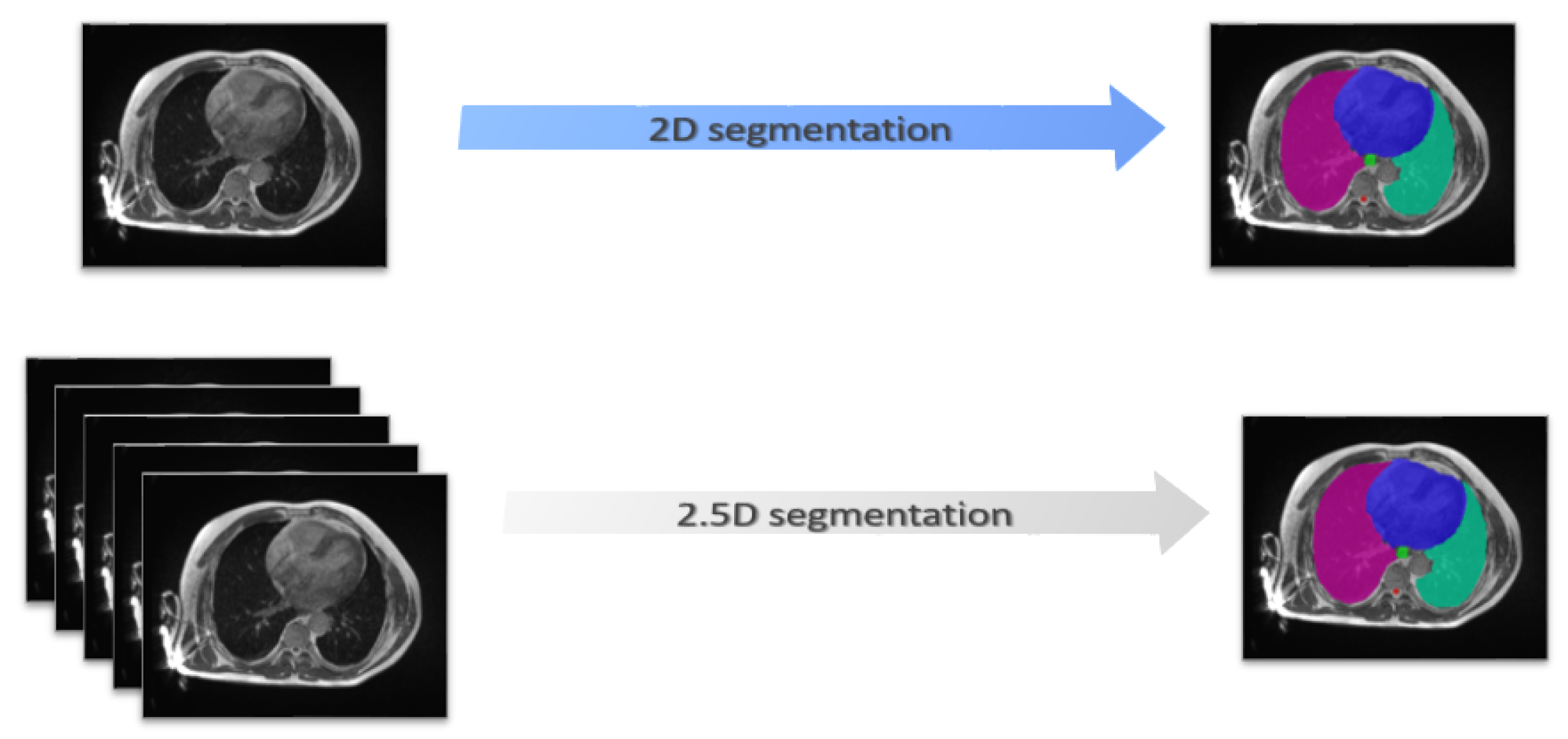 Algorithms 16 00564 g006