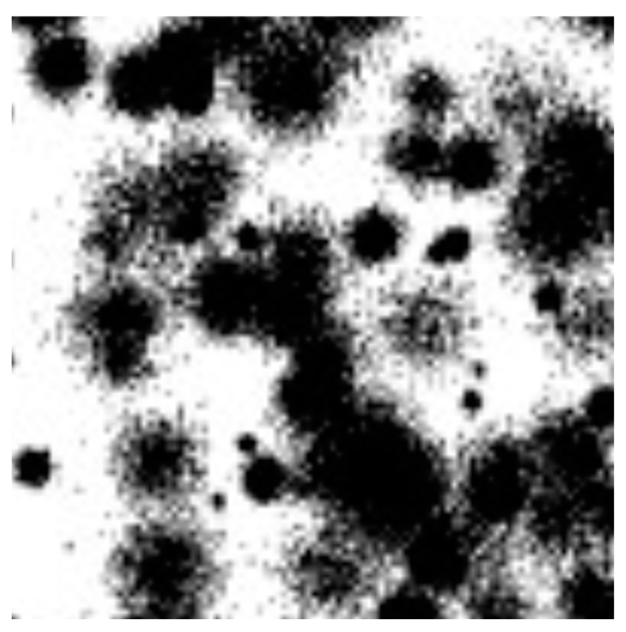 Algorithms 16 00572 g001