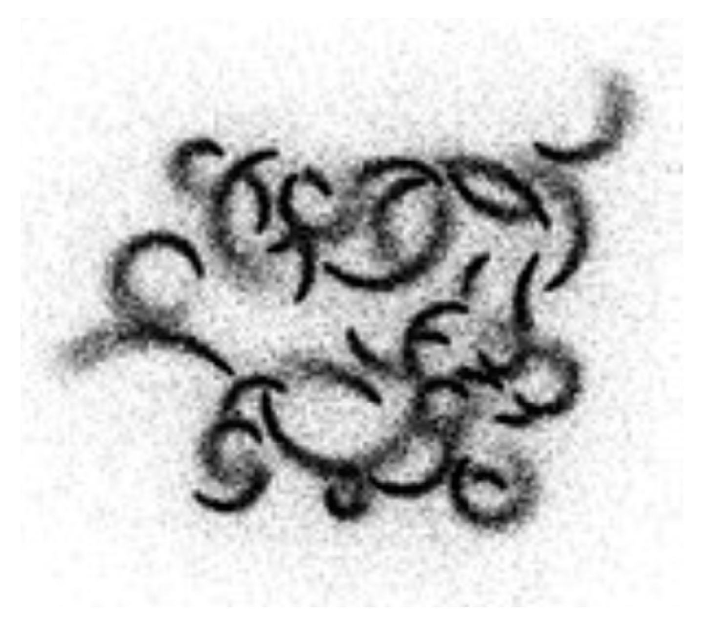 Algorithms 16 00572 g002