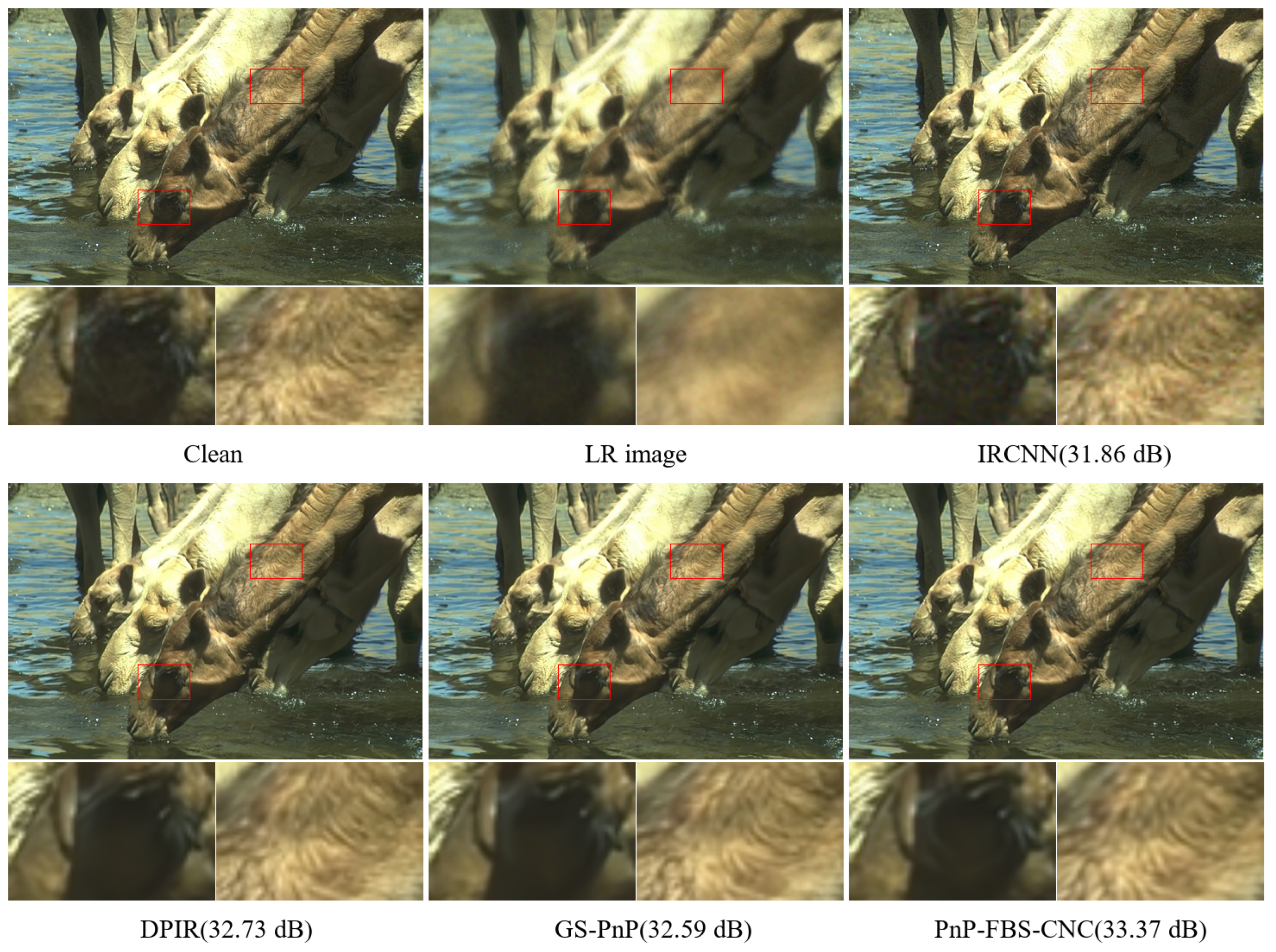 Algorithms 16 00574 g002