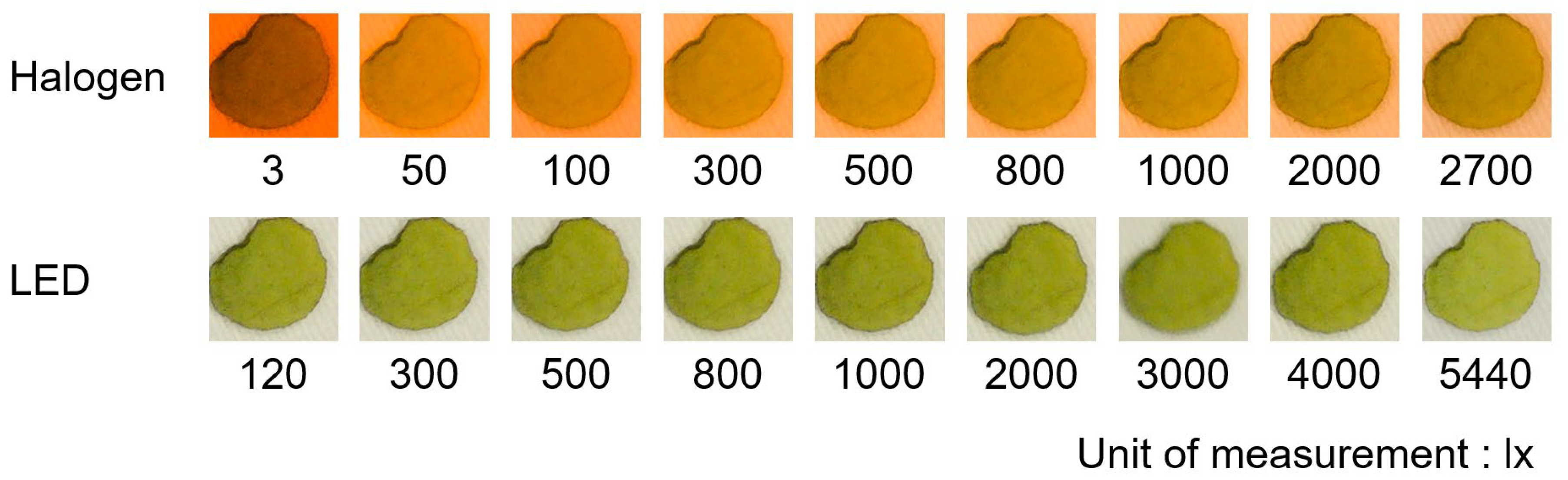 Algorithms 17 00016 g0a1