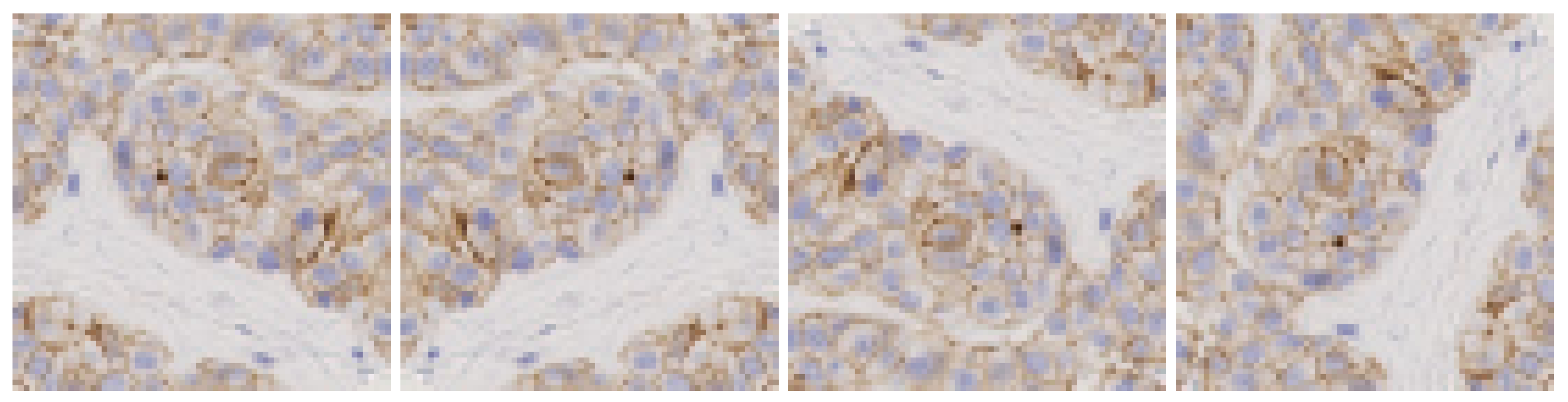 Algorithms 17 00097 g003