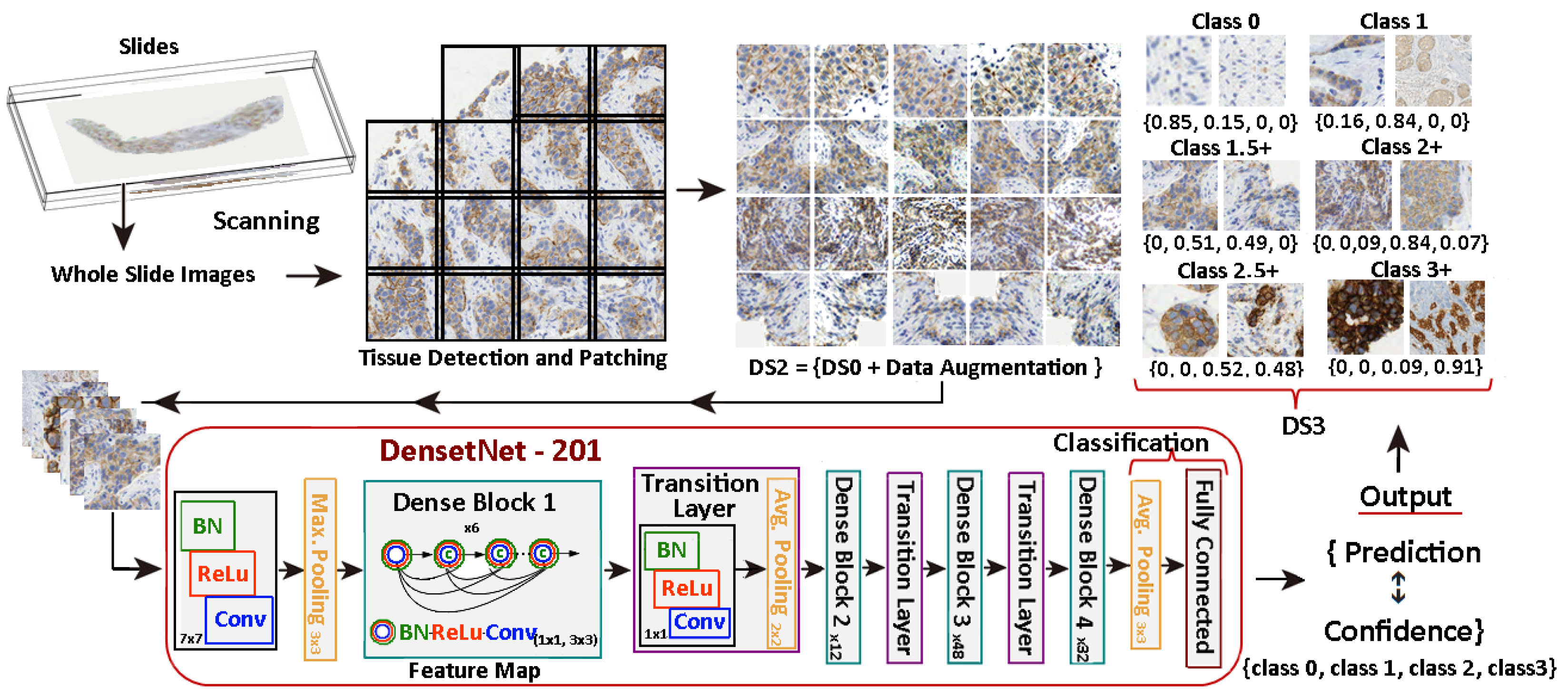 Algorithms 17 00097 g005