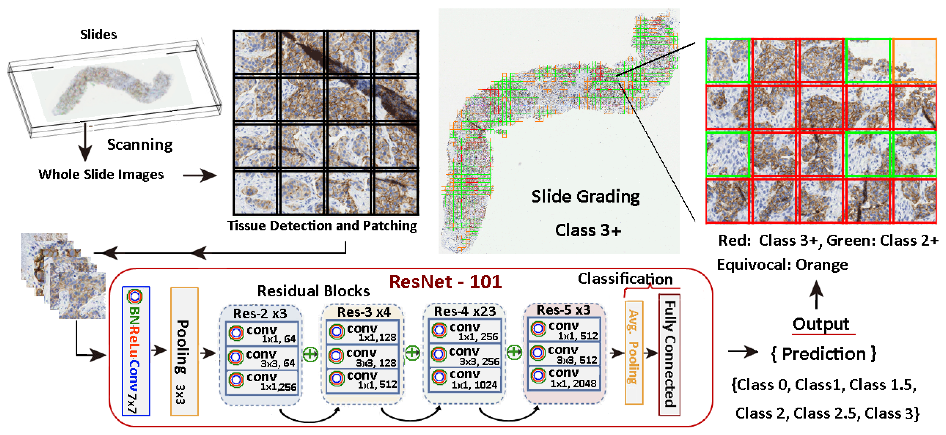 Algorithms 17 00097 g007