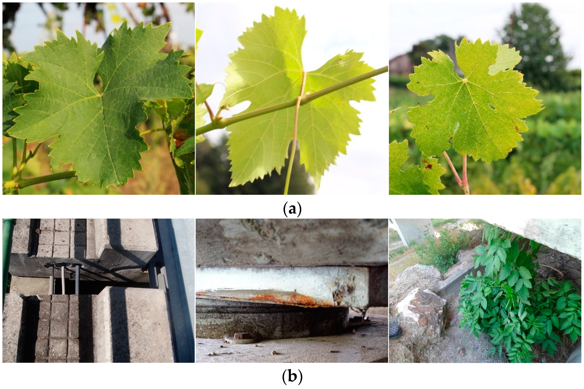 Algorithms 17 00106 g003