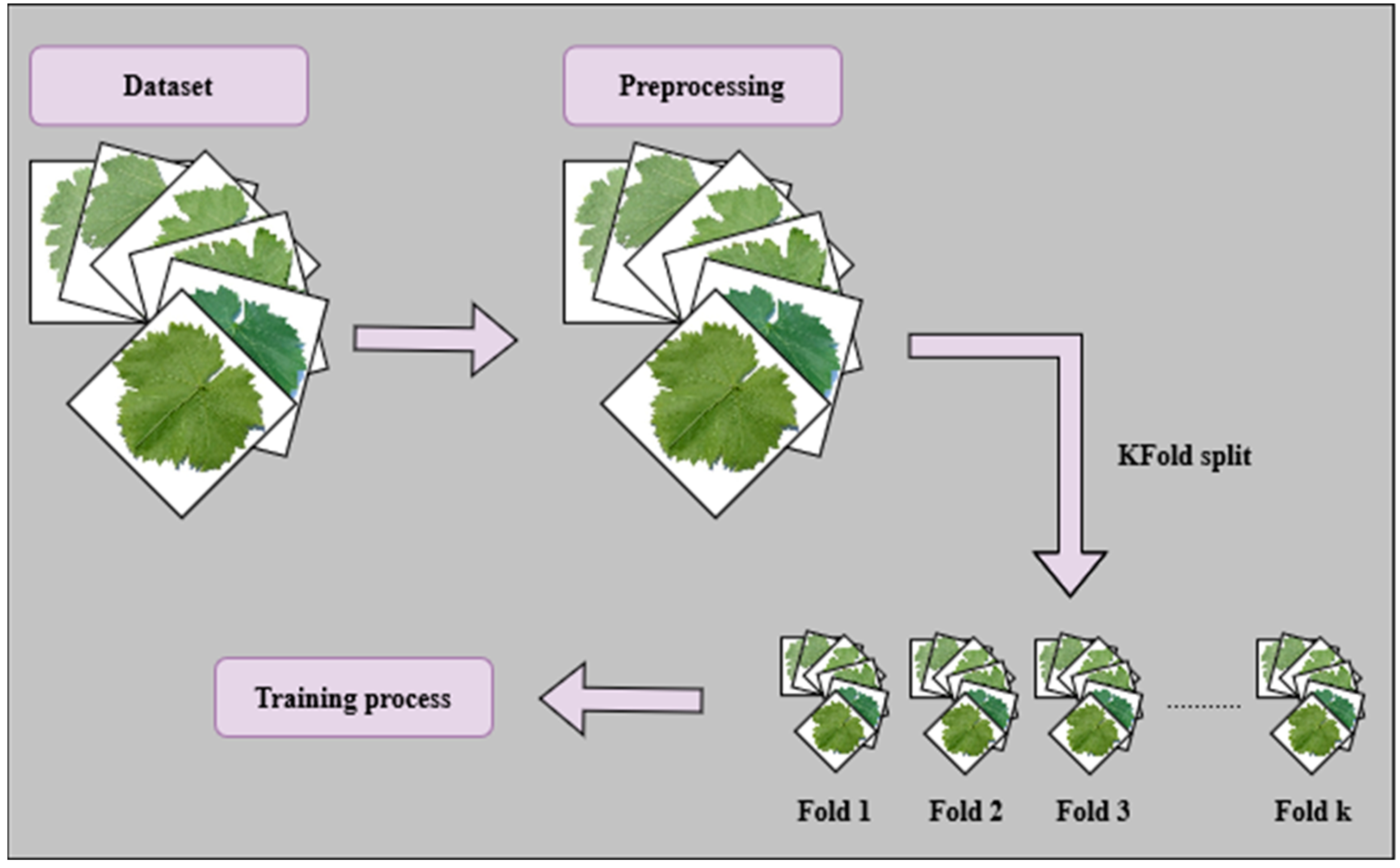 Algorithms 17 00106 g005