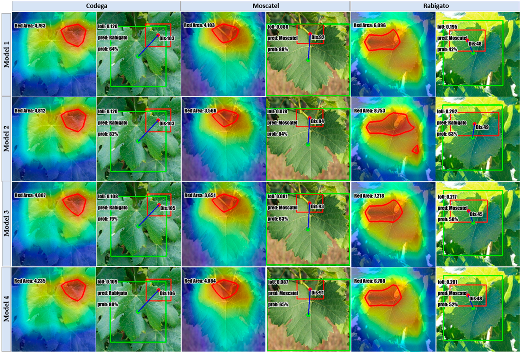 Algorithms 17 00106 g015a