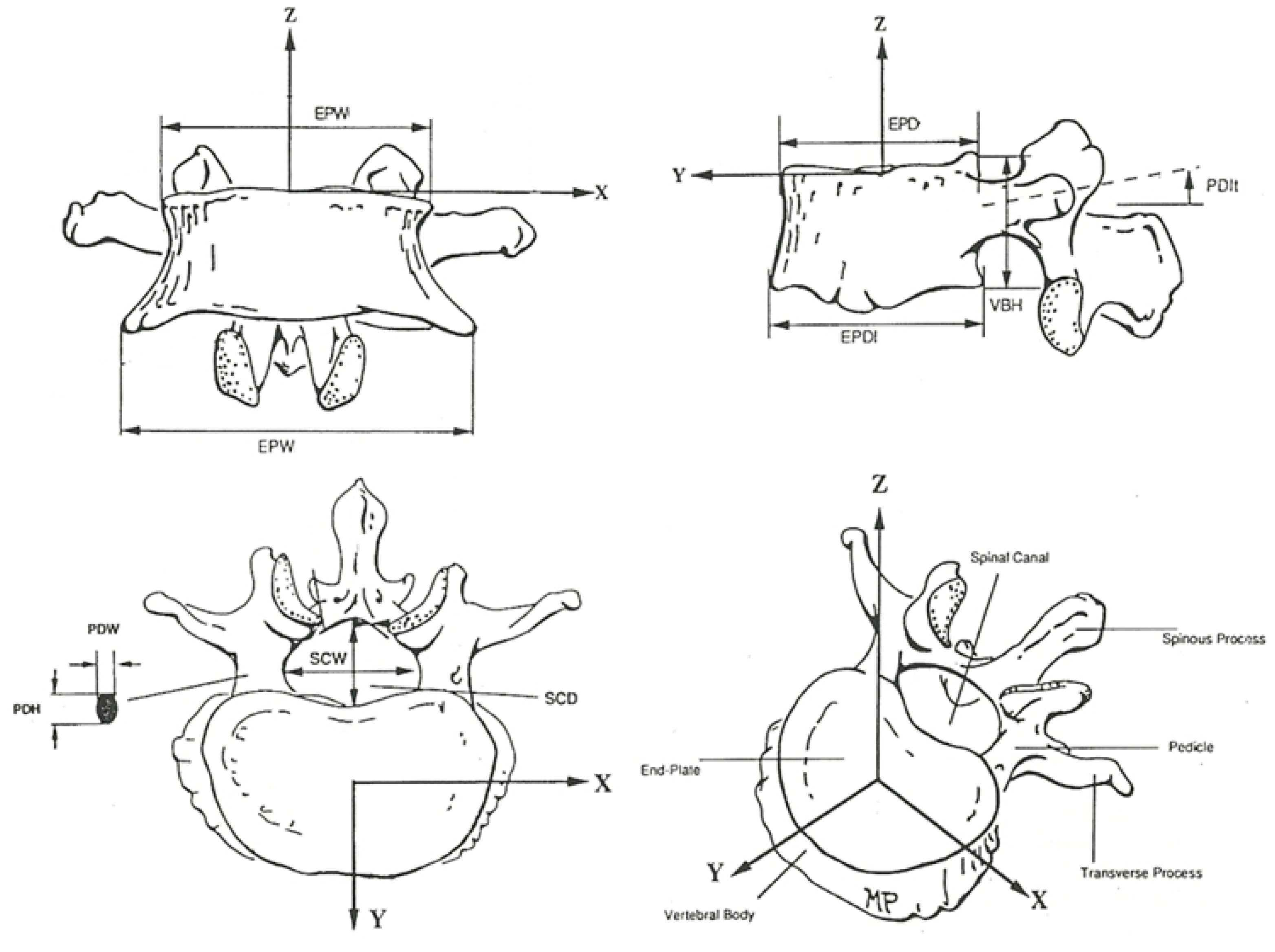 Algorithms 17 00134 g002