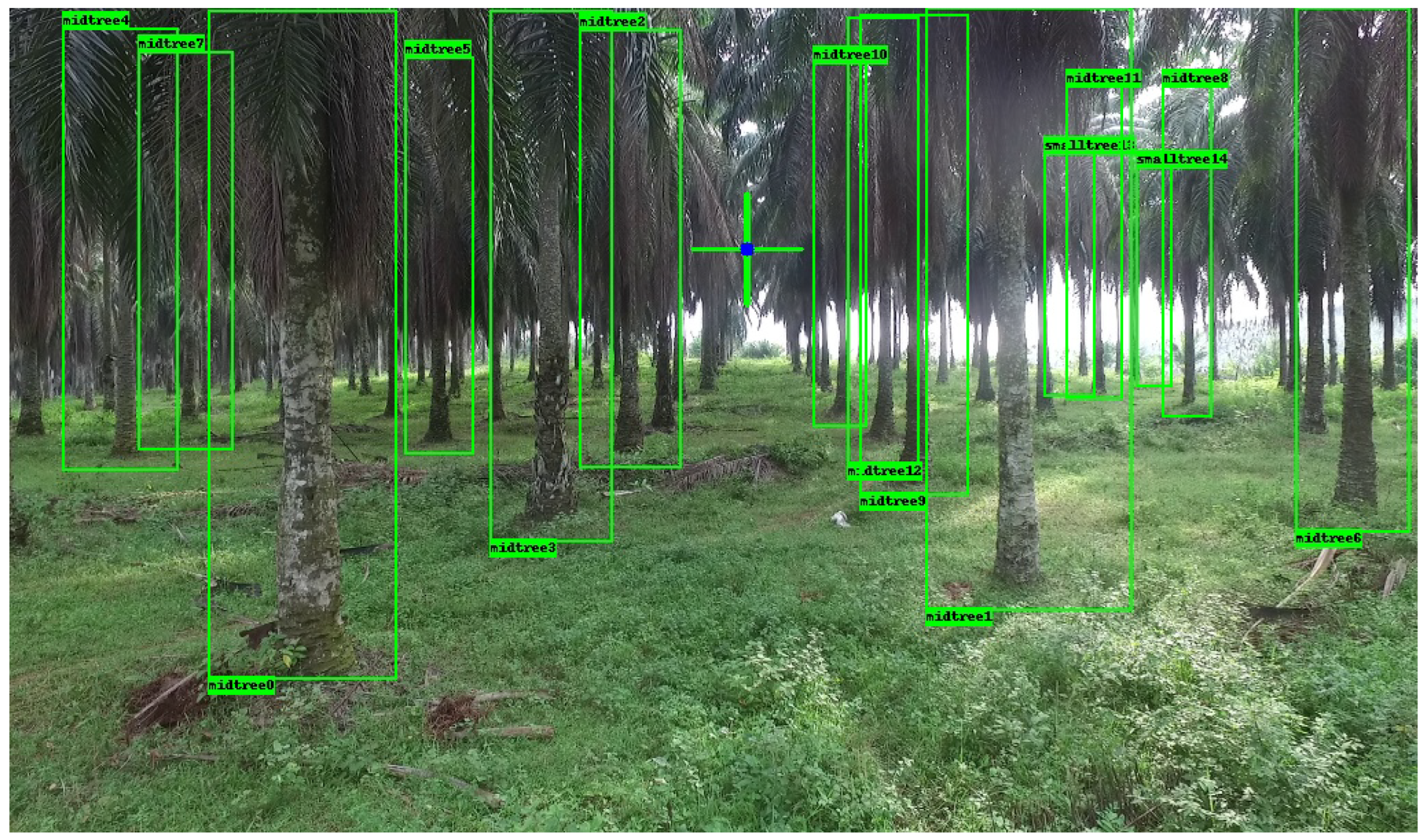 Algorithms 17 00139 g001 Algorithms 17 00139 g001