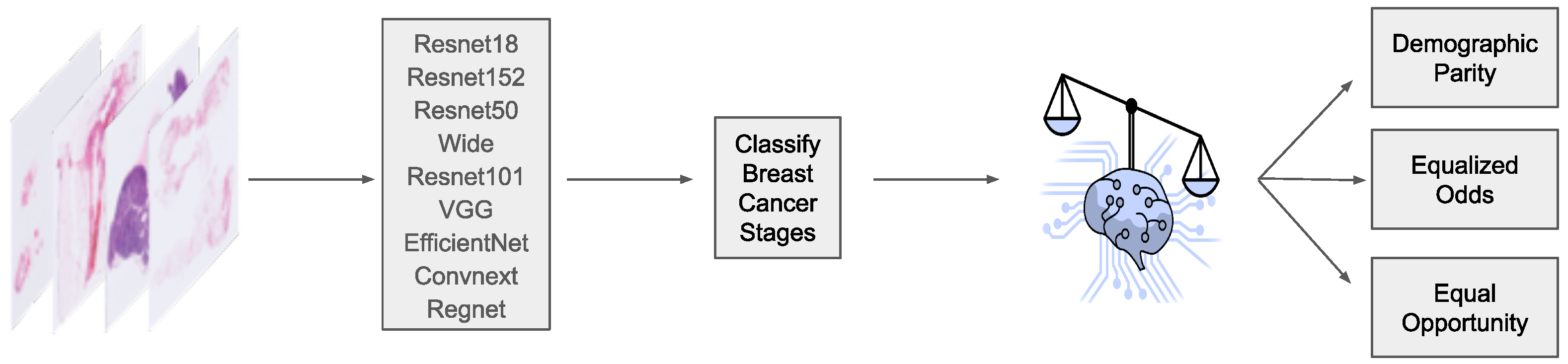 Algorithms 17 00141 g001