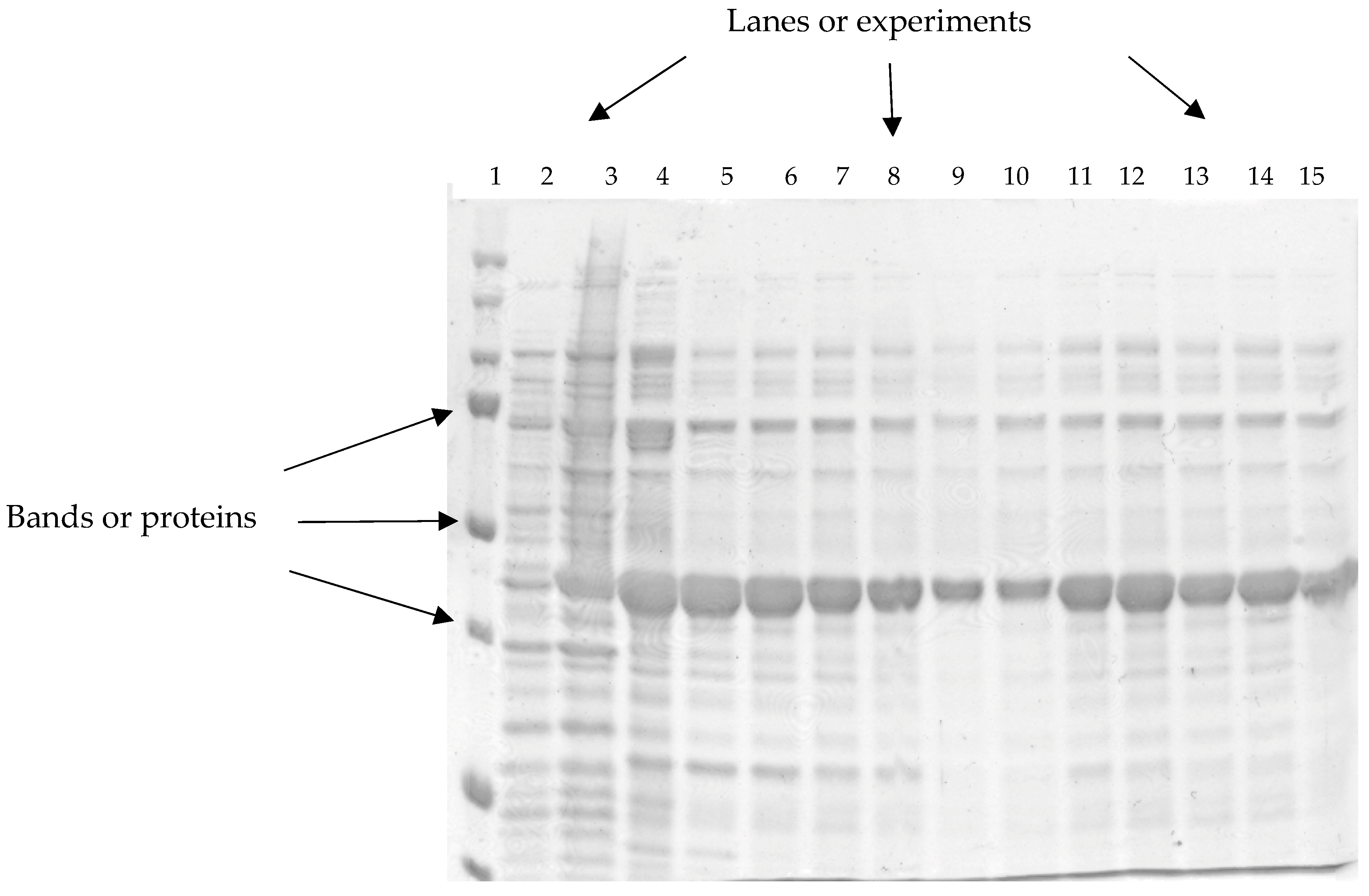 Algorithms 17 00149 g001 Algorithms 17 00149 g001
