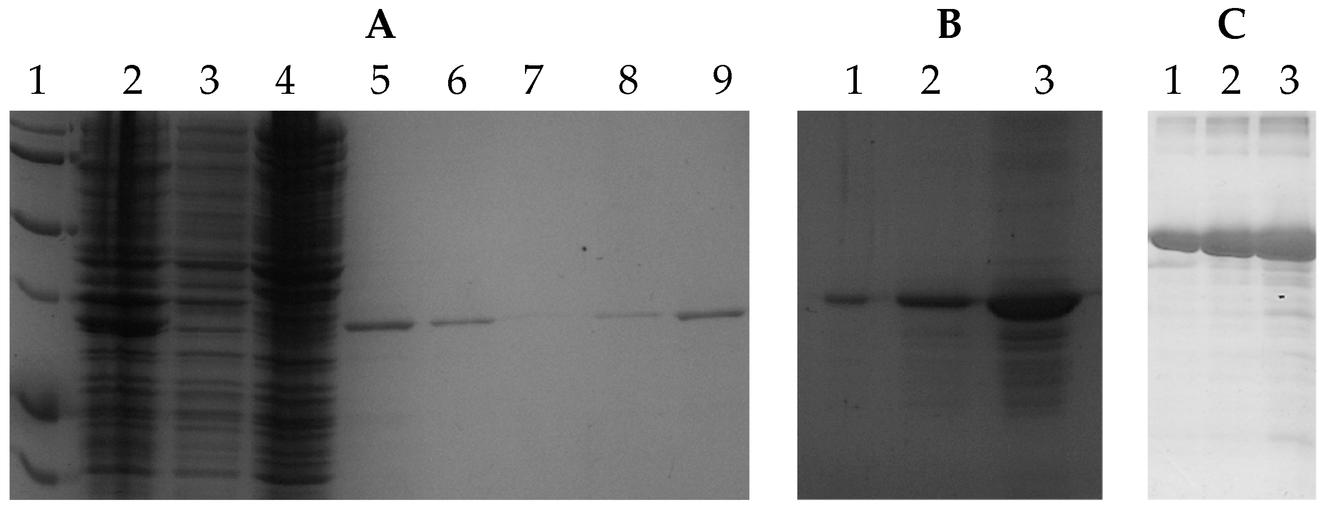 Algorithms 17 00149 g002 Algorithms 17 00149 g002