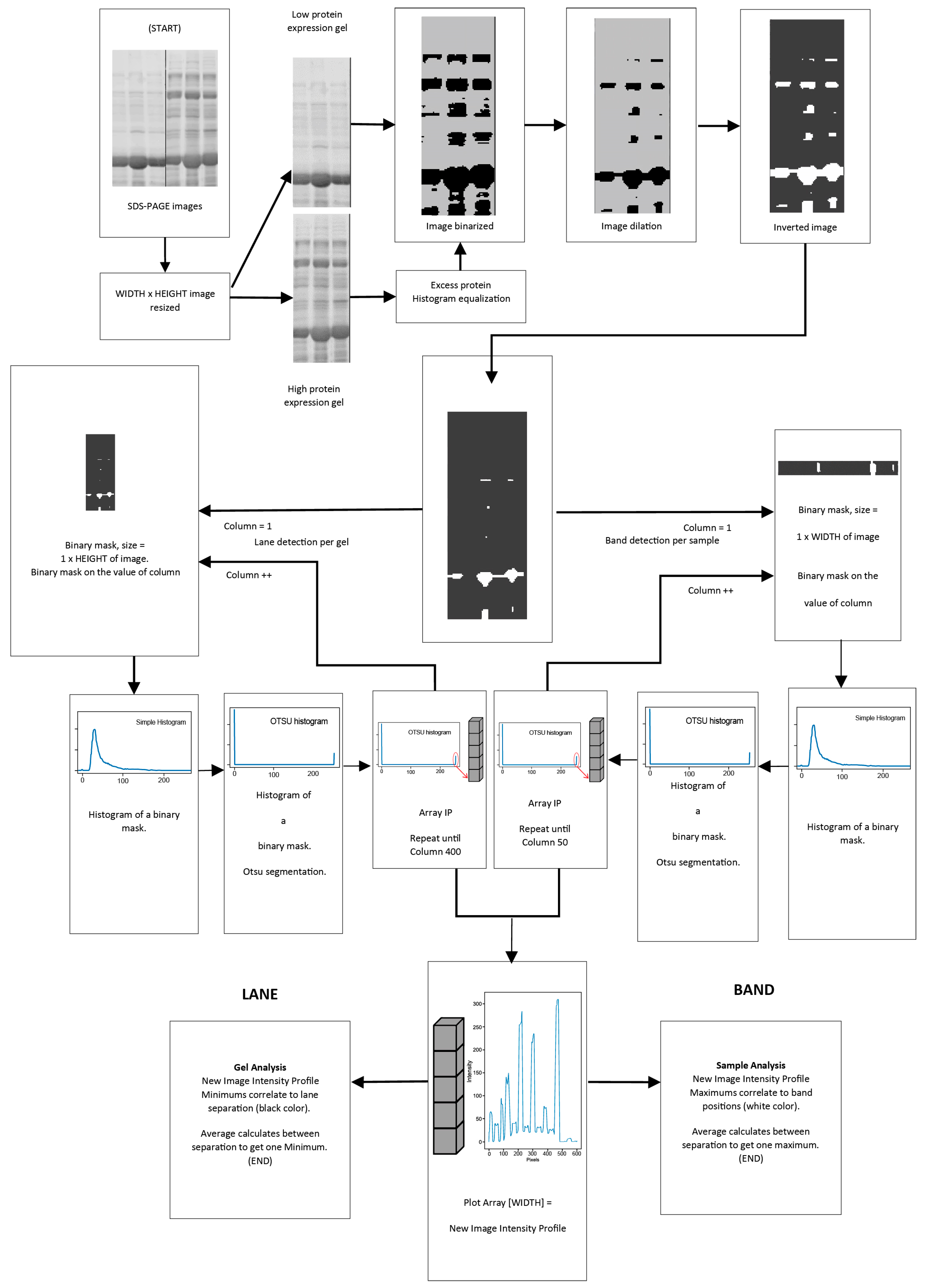 Algorithms 17 00149 g003 Algorithms 17 00149 g003