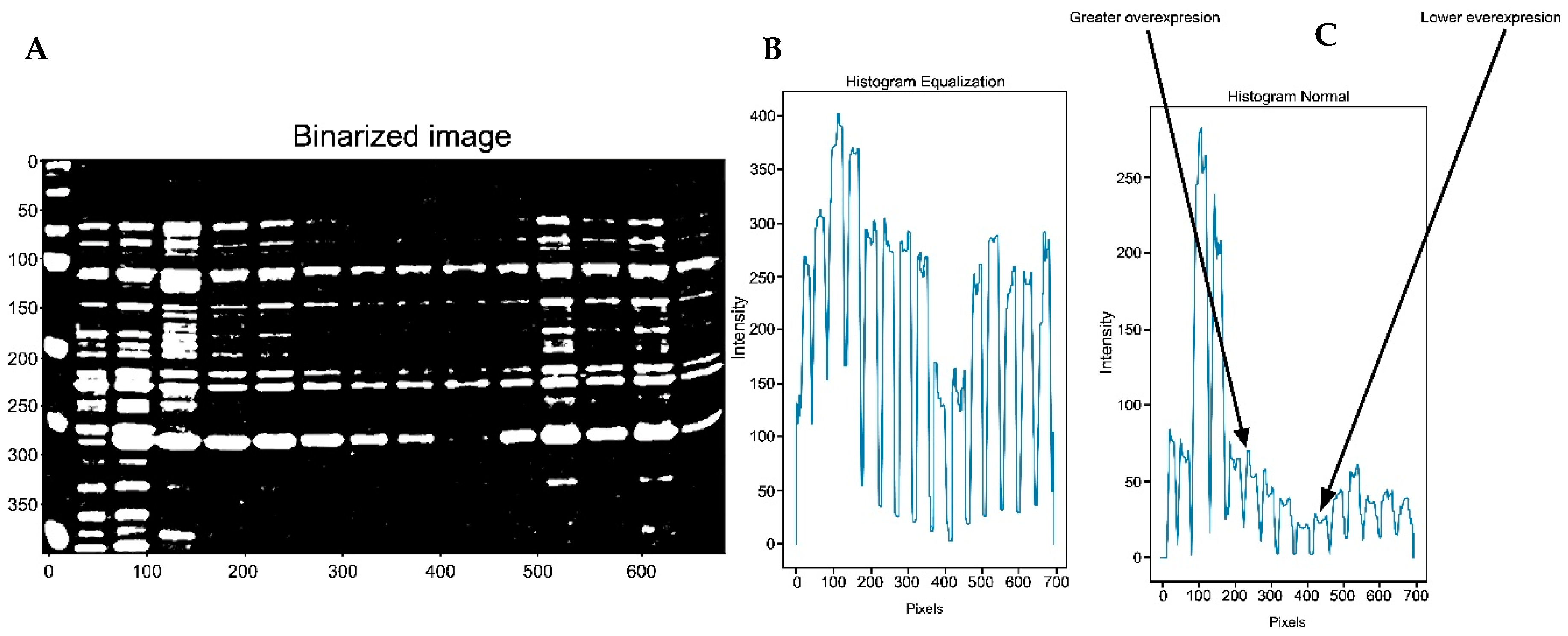 Algorithms 17 00149 g008 Algorithms 17 00149 g008