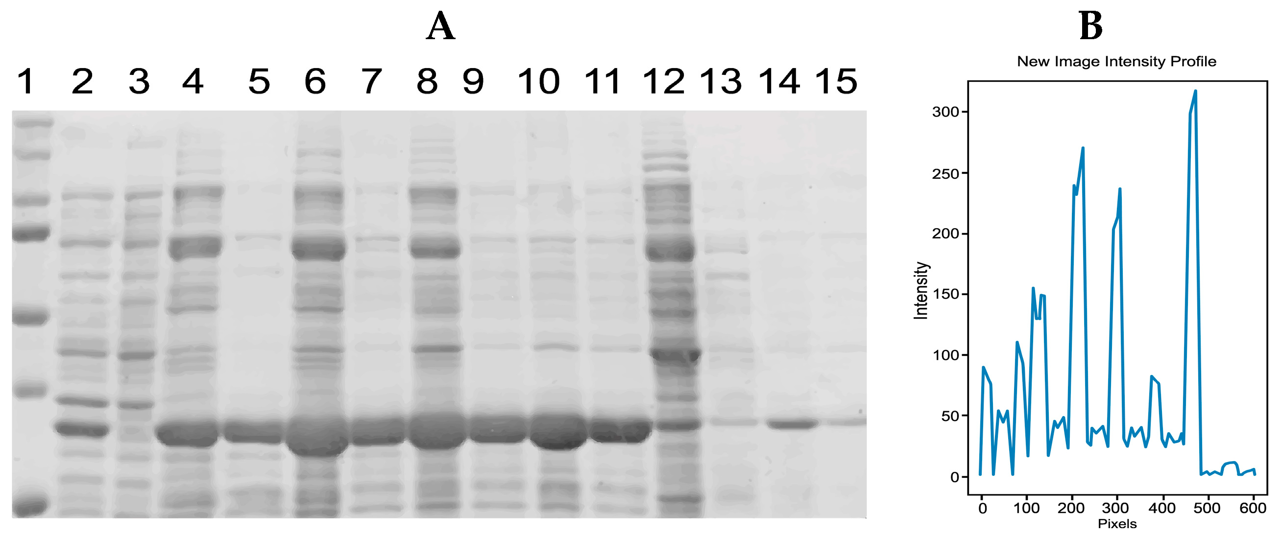 Algorithms 17 00149 g010 Algorithms 17 00149 g010