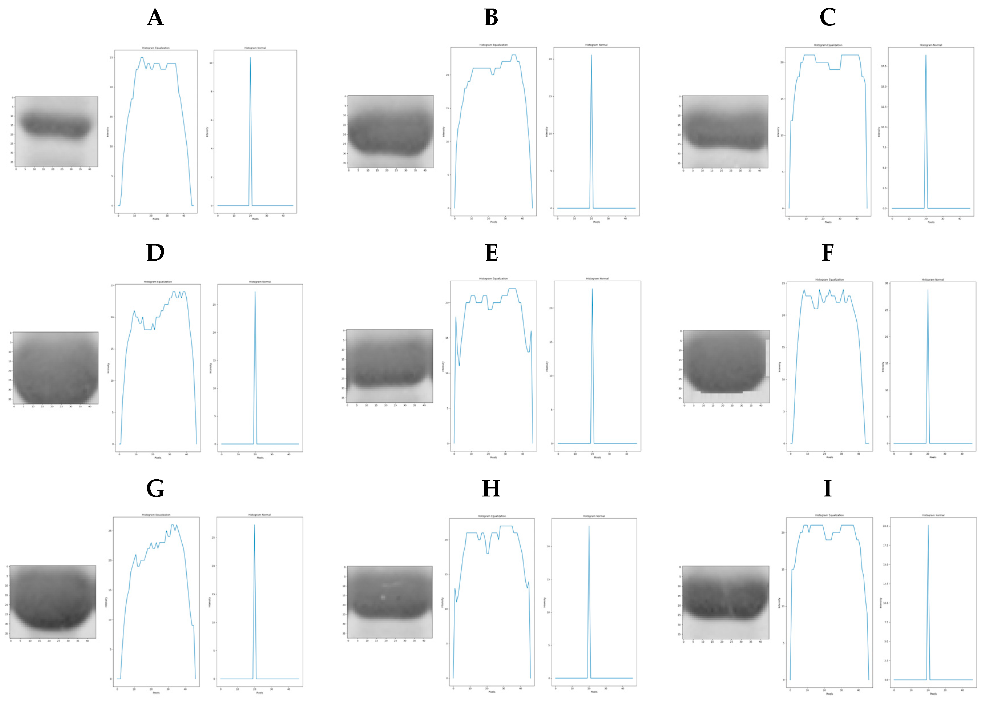 Algorithms 17 00149 g015 Algorithms 17 00149 g015